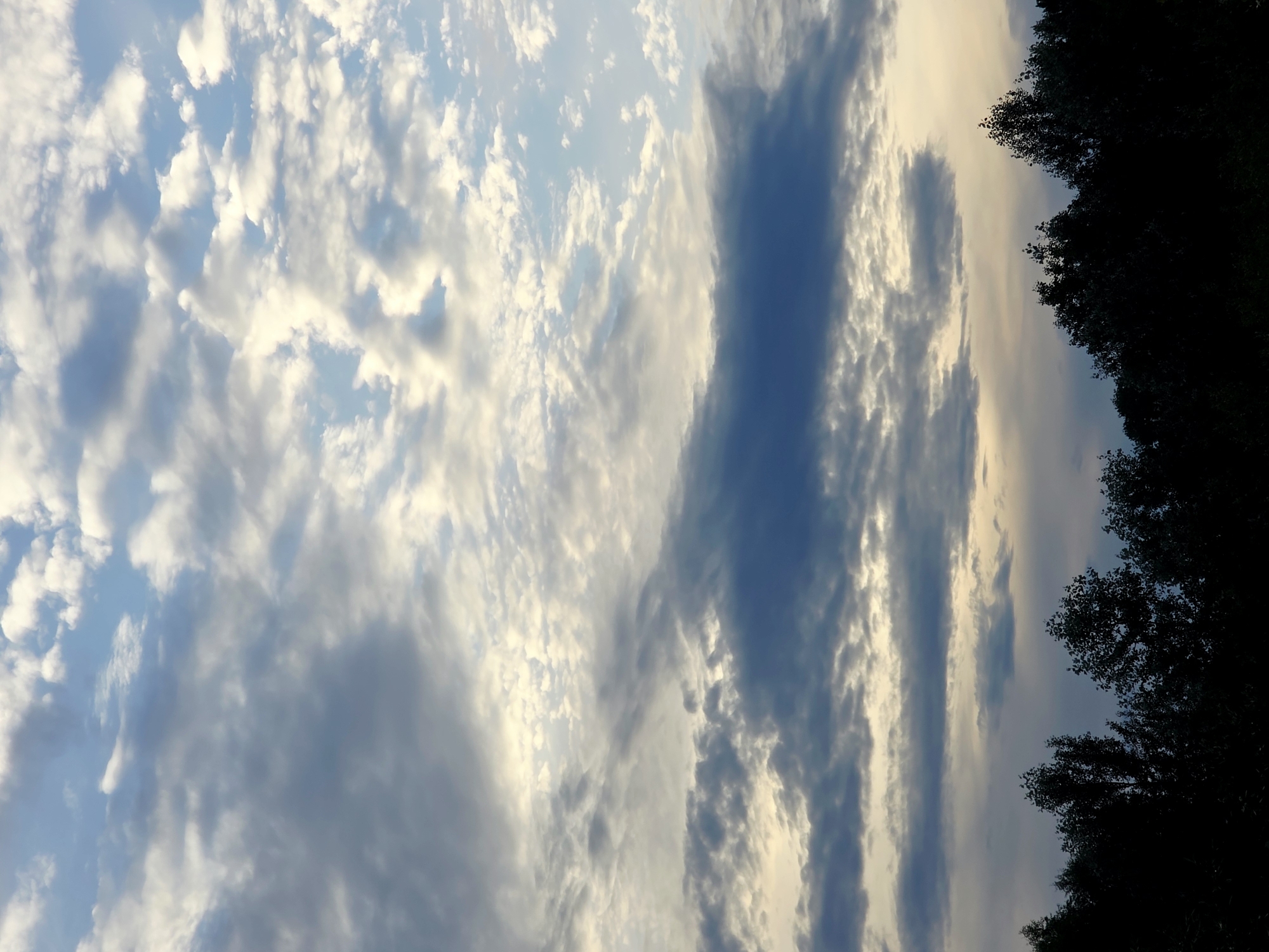The image captures a wide, vertical shot of a cloudy sky over a silhouetted treeline. The sky is filled with a mix of white and gray clouds, with areas of soft yellow light peeking through, suggesting either sunrise or sunset. The clouds are varied in texture and density, with some appearing wispy and scattered, while others are thicker and more defined, creating a sense of depth. The treeline at the bottom is dark and indistinct, appearing as a solid black mass against the lighter sky. No people, specific buildings, or objects are discernible. The scene is an outdoor natural environment, likely a park or the edge of a forest, with no indication of being within the city of Warsaw, Poland, or any other specific urban location.