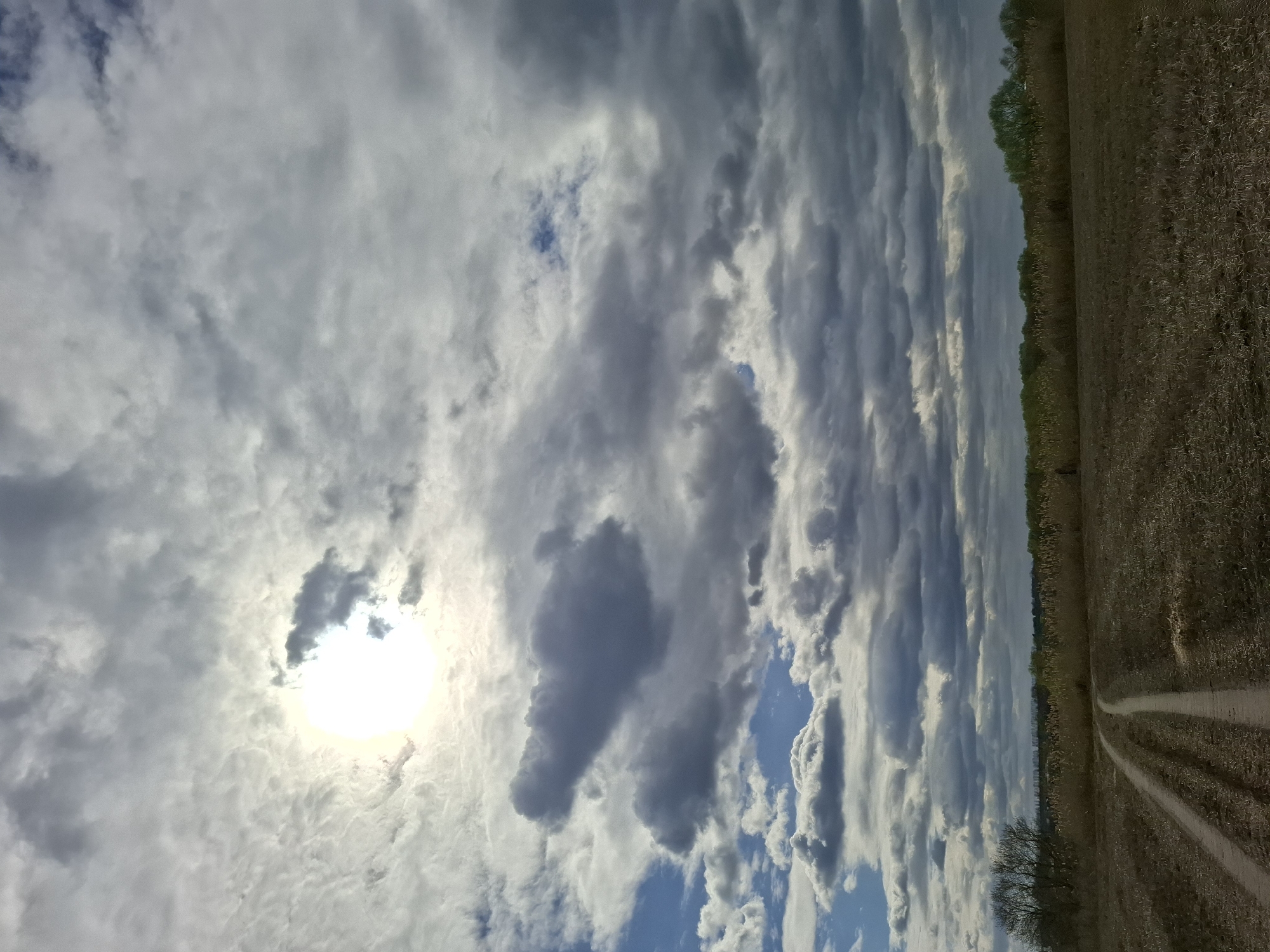 A low-angle, long shot reveals a rural scene in Treshchevka, Russia. A dirt road with tire tracks cuts through a brown, dry field on the right side of the image. A line of trees and tall grasses separates the field from the sky. The sky dominates the image, filled with a mix of white and gray clouds, with a bright sun partially obscured by the cloud cover on the left side.