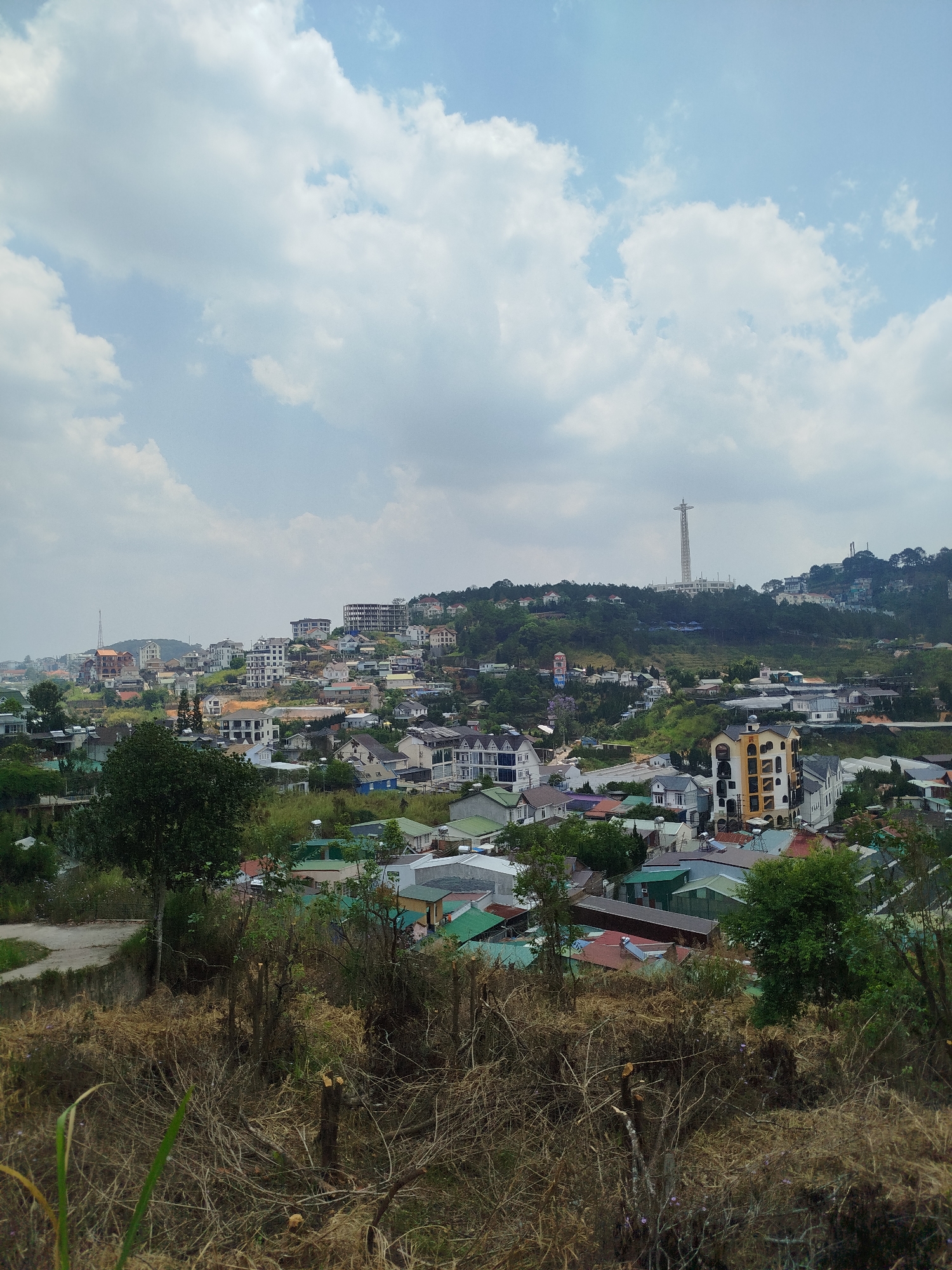 The image shows a cityscape in Da Lat, Vietnam, taken from an elevated viewpoint. The foreground is dominated by dry, overgrown vegetation. Beyond this lies a dense arrangement of houses and buildings varying in size and architectural style. Roofs display a mix of colors, including green, red, and gray. The structures are interspersed with trees and green spaces. Further in the distance, the city extends up a hill, with clusters of taller buildings. A tall tower structure is visible on the hill. The sky is partly cloudy with a light blue hue.