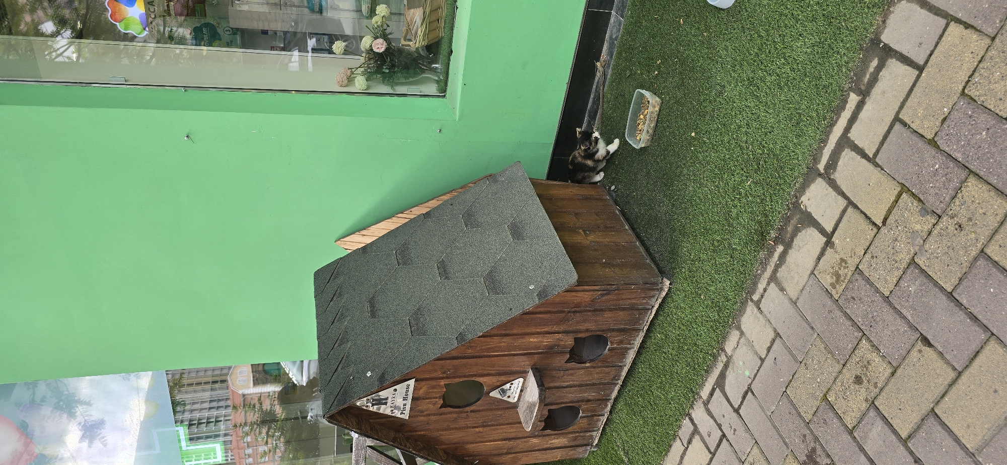 The scene is an outdoor setting in Grozny, Russia, with a green wall on the left and a brick walkway on the right. A wooden cat house is positioned on the left, with its entrance facing the camera. A calico cat is next to a container of food near the cat house. There is a patch of artificial green turf surrounding the cat house. A building is visible in the reflection of a glass window to the left.