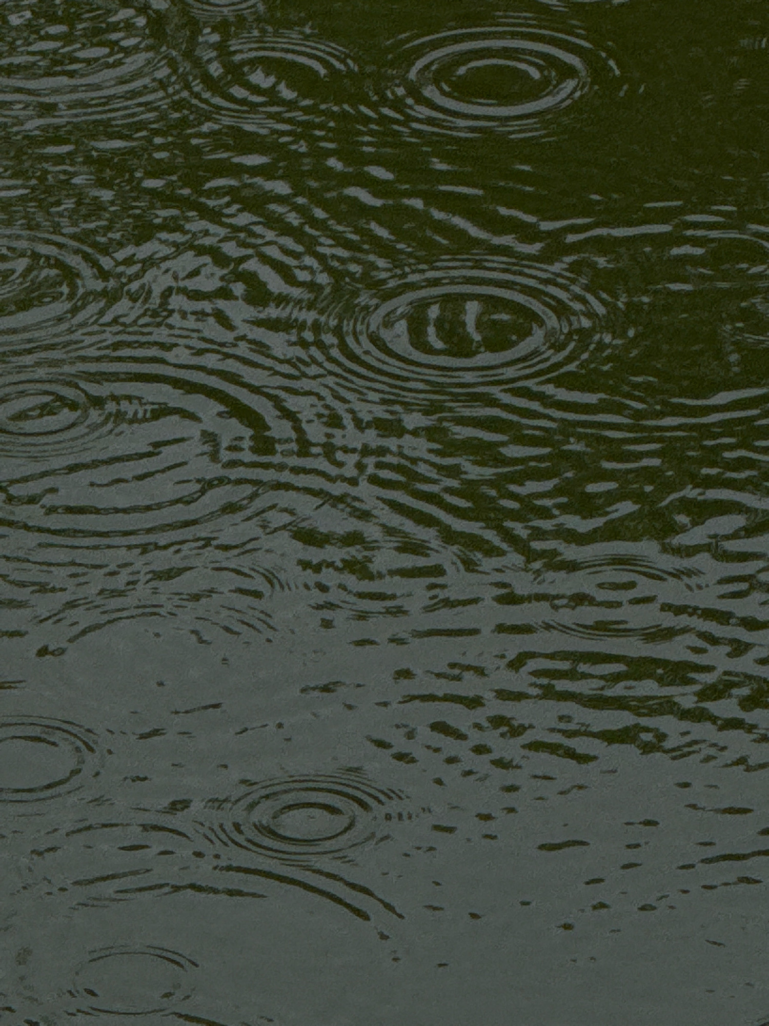 The image shows a close-up, overhead view of dark, still water with numerous circular ripples, indicating that raindrops are falling on the surface. The water has a slightly greenish-brown hue. The ripples are concentrated in various areas, with some appearing larger and more defined than others. The overall impression is one of a calm but active natural phenomenon. The scene does not depict any identifiable landmarks or people that would allow for specific localization within Hiệp Thạnh, Vietnam.
