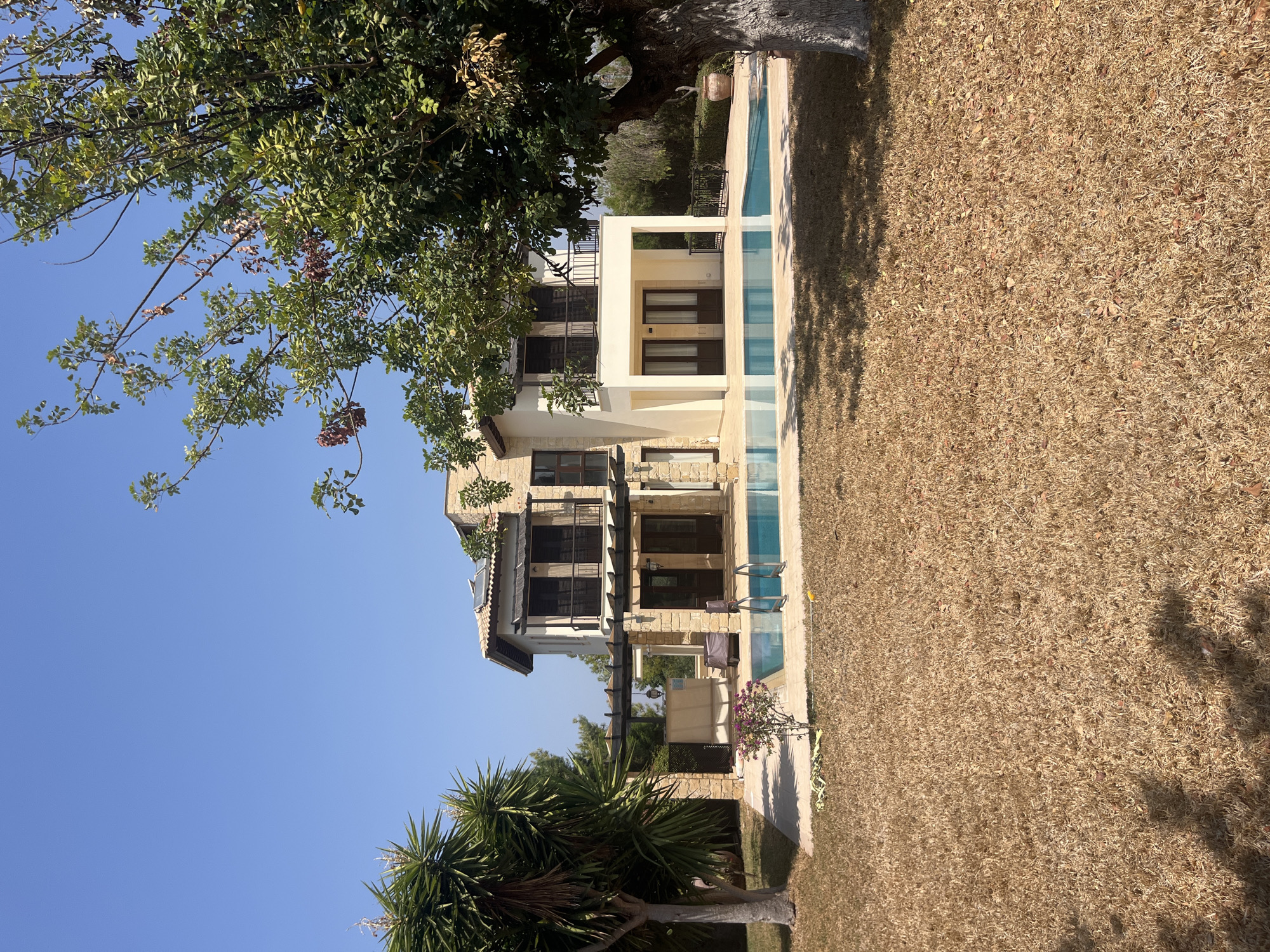 The image depicts a sun-drenched scene of a modern villa with a swimming pool, located in Aphrodite Hills, Cyprus. The villa is constructed with a combination of stone and cream-colored stucco, featuring multiple balconies with black railings and dark wooden doors and shutters. A clear blue swimming pool with a metallic ladder sits directly in front of the villa, reflecting the bright blue sky. The surrounding lawn is dry and golden, indicating a warm climate. Large trees, one with a thick, textured trunk, flank the property, casting dappled shadows on the grass. To the left of the villa, a spiky, palm-like plant adds a touch of tropical greenery. The overall impression is one of a luxurious, serene vacation property under a clear, cloudless sky.