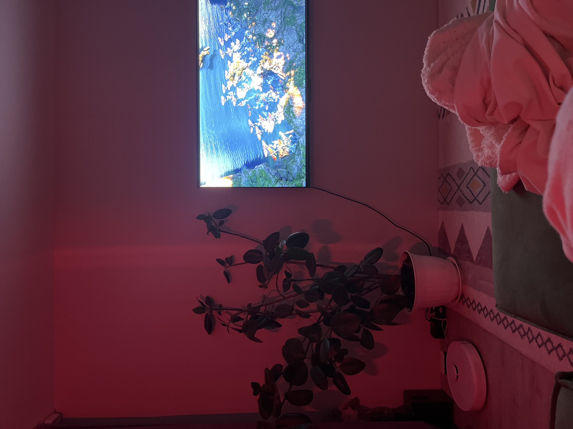 A dimly lit, skewed indoor scene depicts a room interior. On the left, a vertical television screen displays an aerial view of water bodies and forests, casting a cool light against a red-toned wall. In the center, a large potted plant sprawls across the scene, its dark foliage obscuring details below. To the right, a sofa with patterned upholstery is partially covered by a pink blanket. Below the plant, a white circular robot vacuum sits on the floor. The location is purportedly in Chaikovsky, Russia.