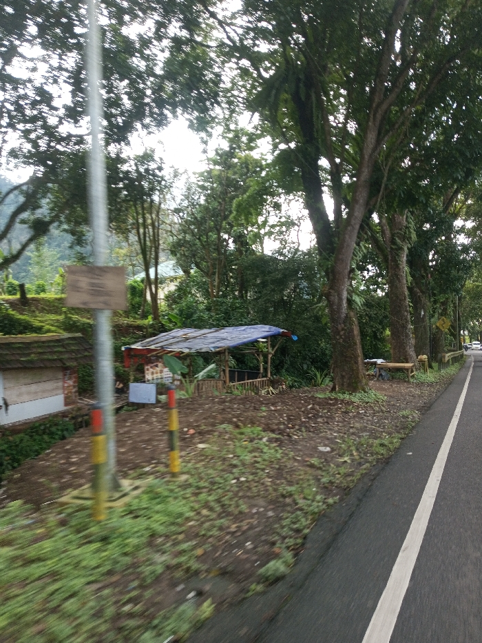 This static, eye-level photograph depicts a roadside scene in Domphoog_Dungkarchhoeling, Bhutan, under diffuse daylight conditions, indicating an overcast sky or backlighting. The image exhibits motion blur in the immediate foreground, suggesting it was captured from a moving vantage point.
In the left foreground, a tall, silver-colored utility pole is prominently positioned, partially obscuring a small, rectangular, light-brown sign with illegible text affixed to it. Beneath the pole, two short, cylindrical bollards, painted with alternating yellow and black stripes, mark the edge of a dirt and sparse grass embankment. To the left of the pole and slightly elevated, a small building or utility structure is partially visible, featuring a dark, sloped roof composed of rectangular elements and light-colored walls.
Further into the midground, a makeshift shelter with a blue tarp roof, adorned with a red border along its front edge, is visible. This structure appears to be supported by wooden or bamboo poles, with a low, slatted wooden railing in front. Indeterminate objects are present beneath the tarp, suggesting a potential vendor stall or storage area. The ground in front of this shelter consists of disturbed earth with patches of green vegetation, sloping gently towards the road.
To the right, a paved asphalt road occupies approximately one-third of the frame, extending from the foreground into the distance. A continuous white solid line clearly delineates the edge of the travel lane. A line of mature trees with dark, textured trunks and dense green canopies, some exhibiting epiphytic growth, runs parallel to the road. Beneath these trees, a simple, light-colored wooden bench or table rests on the ground. In the far distance along the road, a single white vehicle is faintly visible. The background is dominated by dense green foliage, with brighter sky discernible through the tree canopy. No individuals are present in the scene, and no specific actions or interactions are depicted.