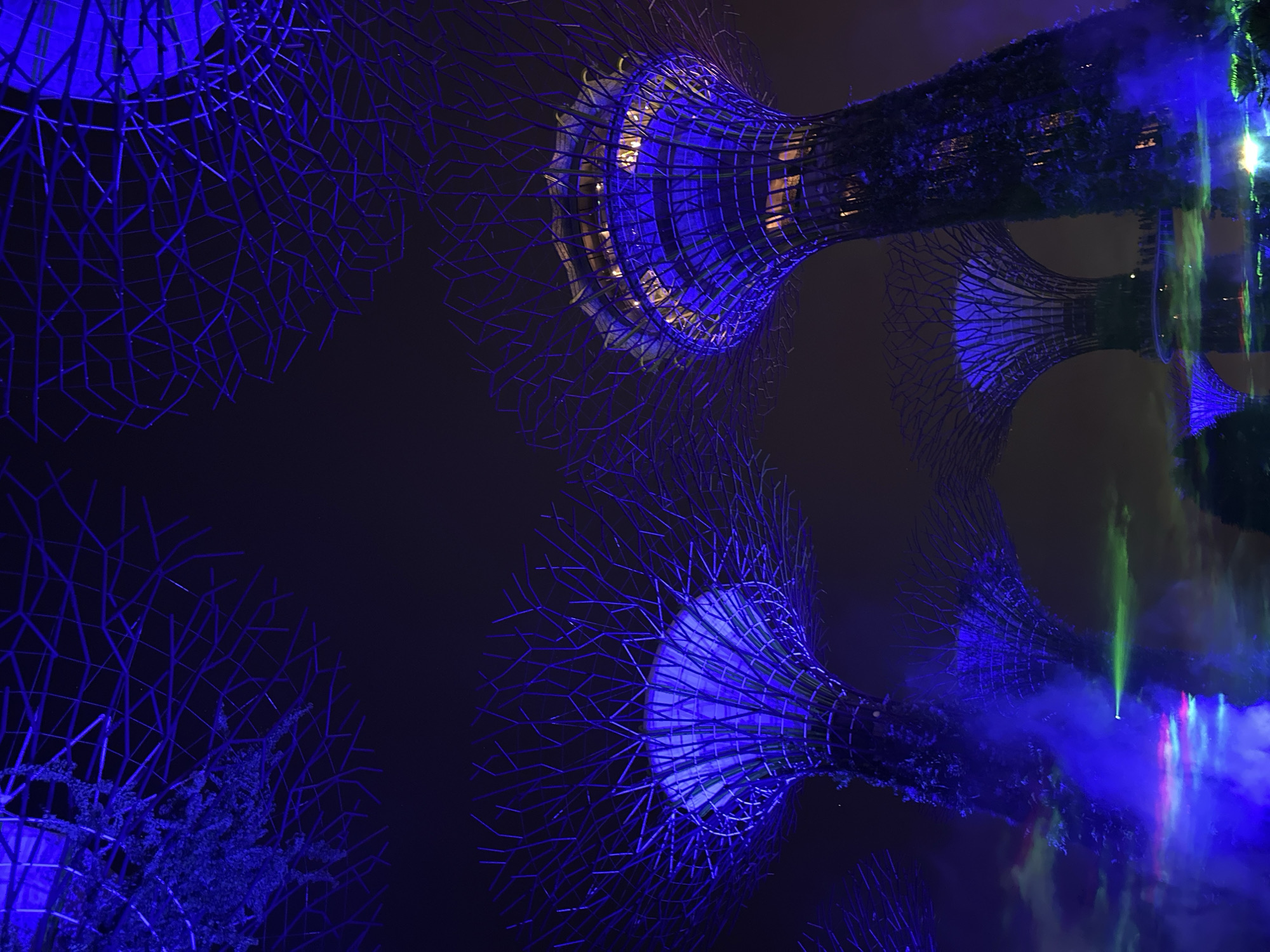 This is a low-angle, long-exposure nighttime photograph of the Supertree Grove at Gardens by the Bay in Singapore. The Supertrees, artificial structures resembling large trees, are illuminated with vibrant blue lights, creating an otherworldly atmosphere. Their intricate lattice-like canopies extend towards the dark night sky, while their trunks are covered in greenery. The lower portions of the Supertrees are shrouded in a hazy, colored mist, with streaks of purple and green light suggesting artificial fog and lighting effects. In the background, the silhouettes of other Supertrees are visible, along with hints of distant city lights. The overall impression is one of a futuristic, illuminated botanical garden.