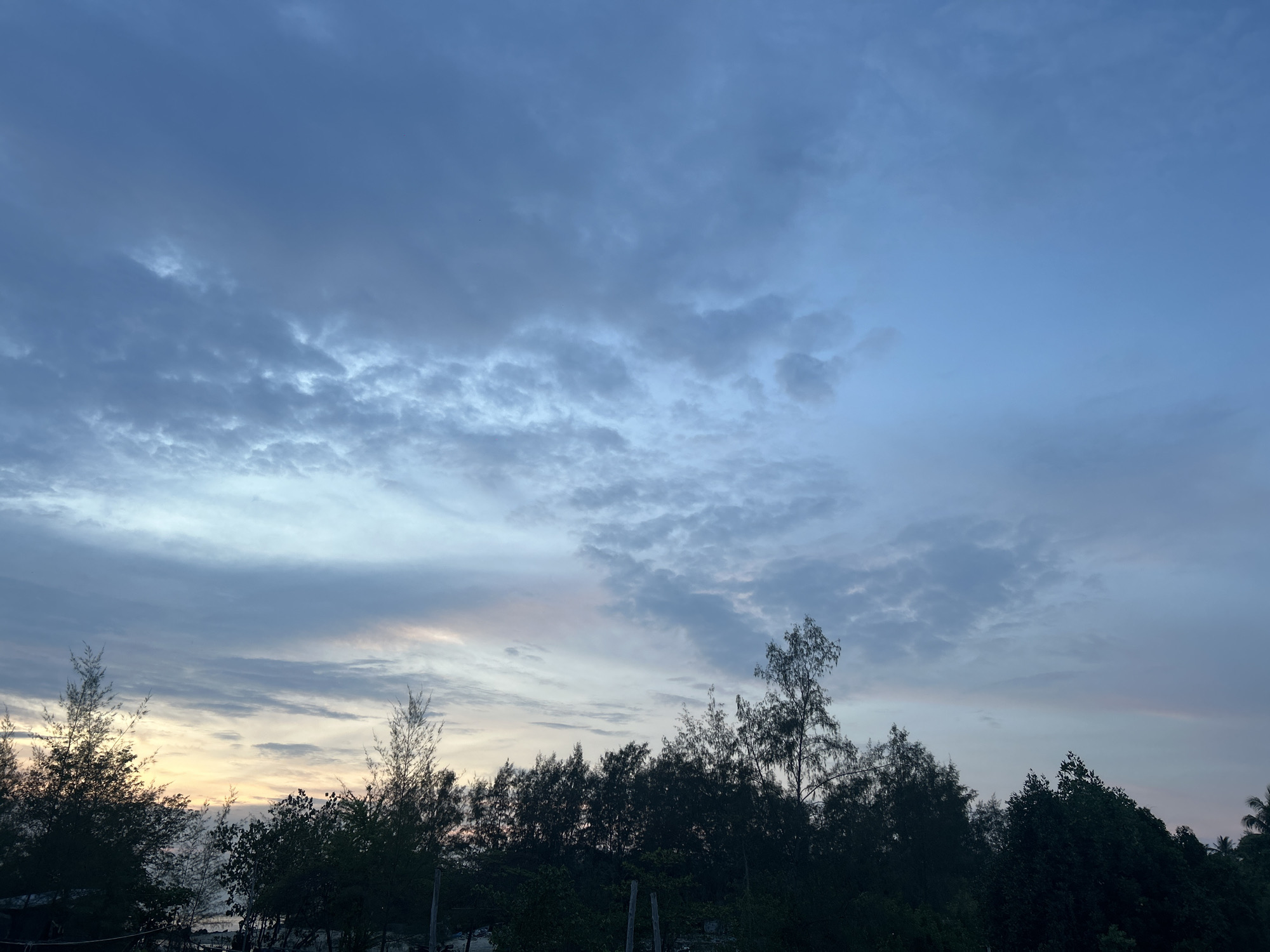 The image shows a view of the sky and trees in ตำบลเกาะพะงัน, Thailand. The sky is a gradient of blues and greys with varying cloud formations. The trees are silhouetted against the sky, primarily dark green, with some hints of brown. They are densely packed and appear to be a mix of different types. In the lower left, a glimpse of what might be water can be seen.