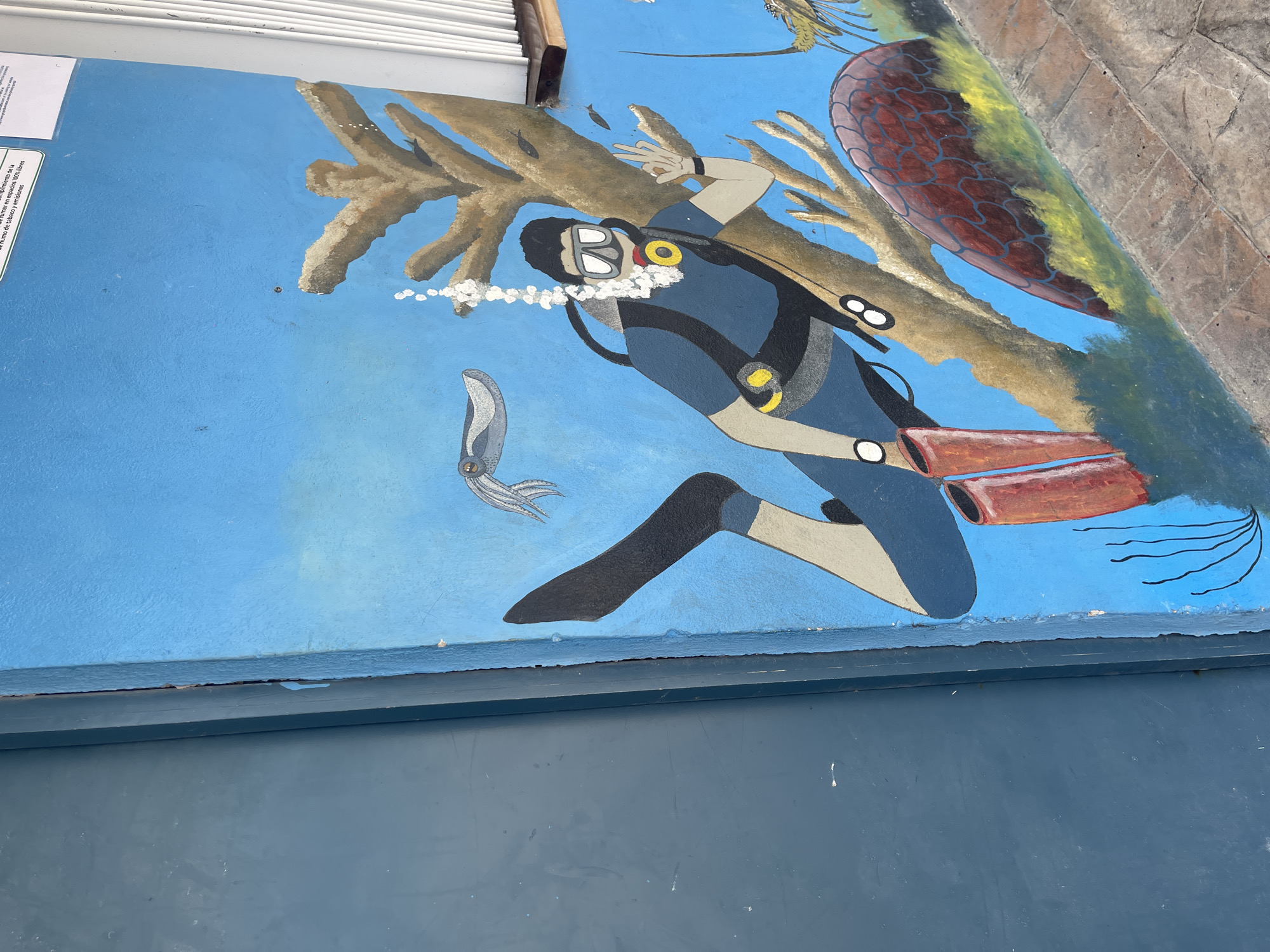 Here is a forensic description of the image:
**Scene:** Mural on a blue exterior wall, likely in an urban area, given the proximity of concrete. The bottom portion of the image shows a darker blue wall panel.
**Subject:** The mural depicts a scuba diver in a blue wetsuit, diving with orange flippers, among coral and other marine life. Bubbles are shown coming from the regulator.
**Other details:** The mural appears to be somewhat faded or weathered. A small sign (text not legible) is located on the upper left of the image. A piece of a brick surface is visible in the upper right.
**Location:** There is no information about Playa del Carmen, Mexico in the provided image.