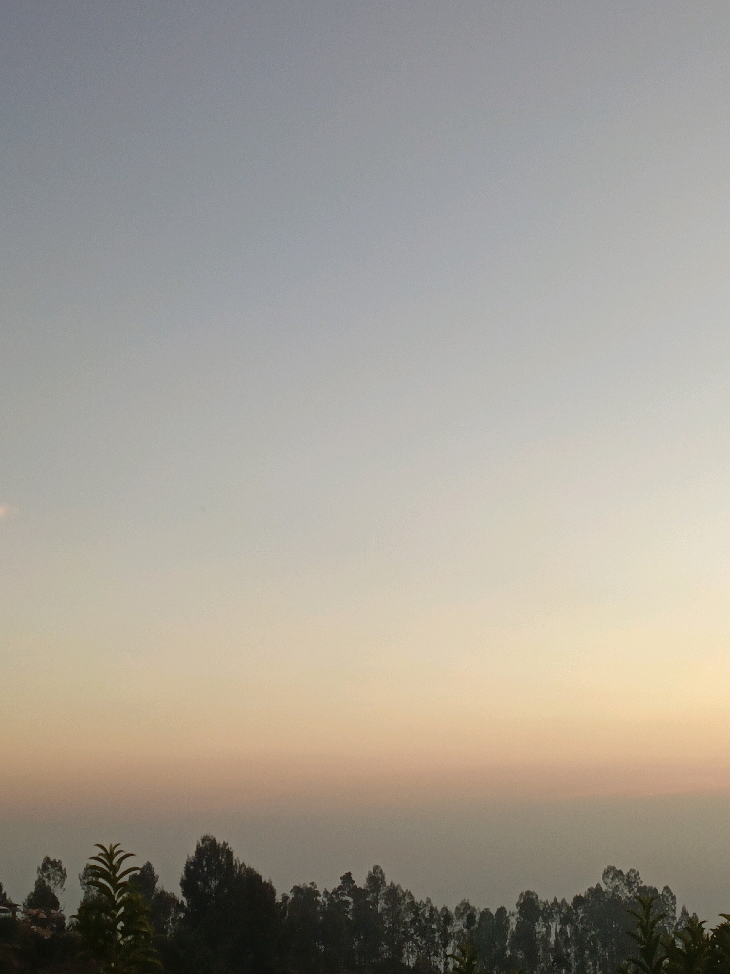 The image captures a serene sunset scene over a treeline in Butuh Kidul, Indonesia. The sky transitions from a pale blue at the top to soft hues of orange and yellow near the horizon, indicating the time of day is late afternoon or early evening. A dense line of silhouetted trees runs across the lower third of the image, with varying heights and shapes. In the foreground, a few green plants are visible, adding a touch of life to the otherwise subdued landscape. The overall atmosphere is peaceful and tranquil, with no people or specific structures visible, emphasizing the natural beauty of the location.