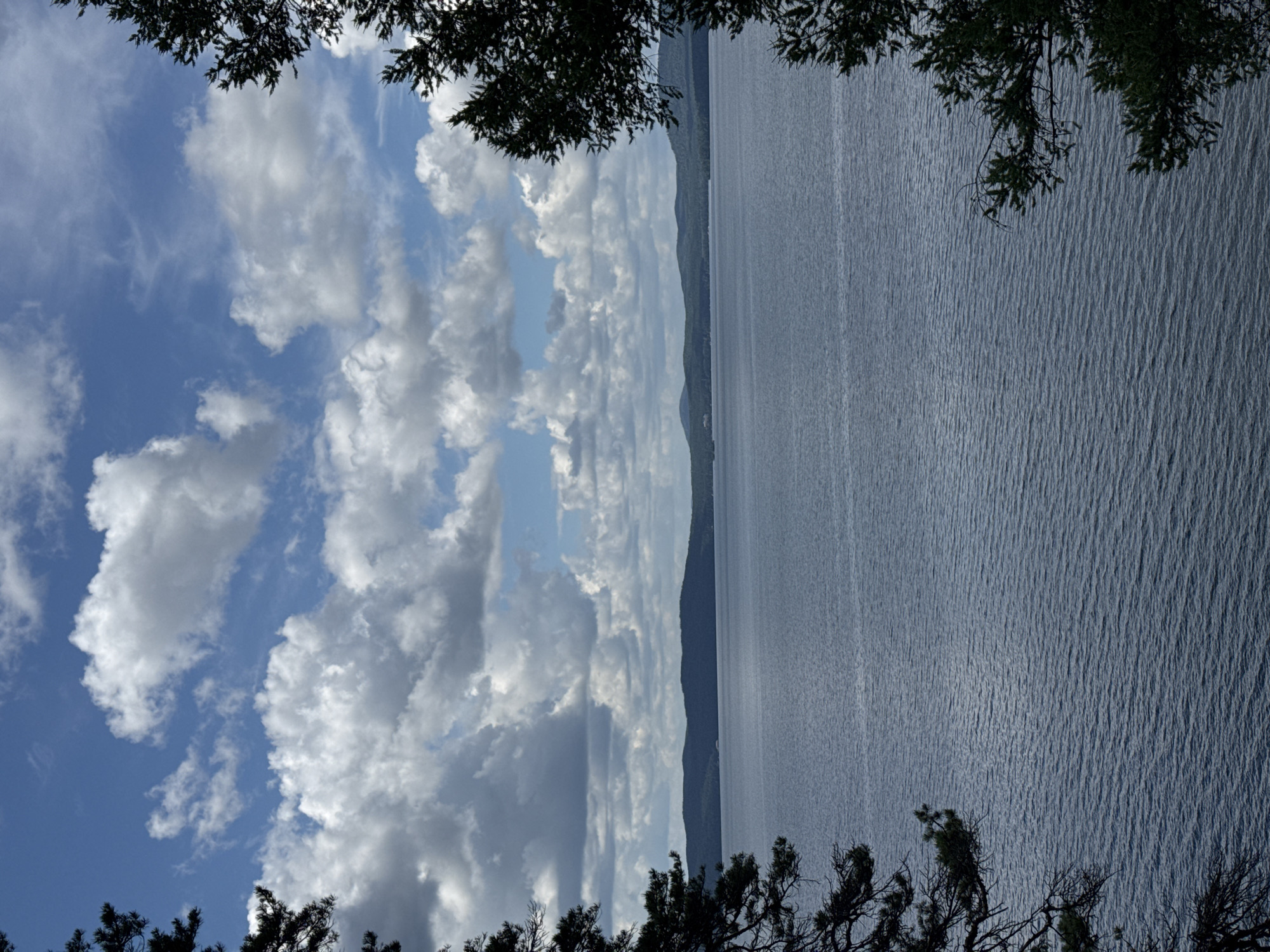 The image shows a scene of a body of water, likely a lake or sea, with a dramatic sky full of clouds. The water occupies the right side of the frame, appearing calm with subtle ripples reflecting the light. On the left, the sky is a vibrant blue, punctuated by large, puffy white clouds and some wispy formations. A dark silhouette of trees frames the top and bottom edges of the image, with branches and foliage creating a natural border. In the distance, a faint outline of hills or mountains can be seen along the horizon where the water meets the sky. The lighting suggests it is daytime, possibly late afternoon or early morning, given the soft but bright illumination. The overall mood is serene and natural, evoking a sense of peaceful contemplation. There is no visible text in the image.