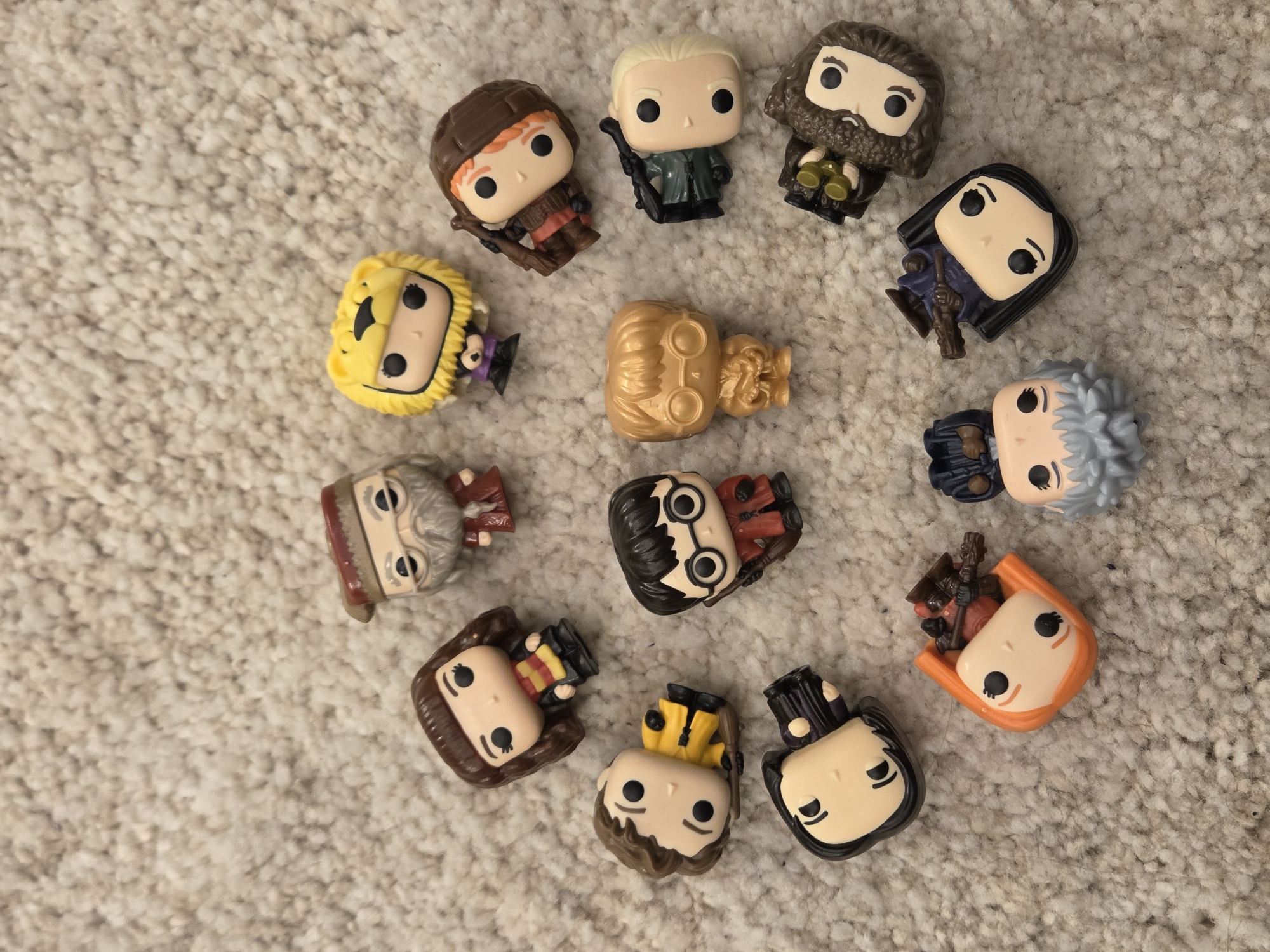 The image shows a collection of twelve Harry Potter Funko Pop figurines arranged in a circle on a beige, textured carpet. The figurines include Harry Potter, Hermione Granger, Ron Weasley, Dumbledore, Luna Lovegood, Professor Flitwick, Draco Malfoy, Hagrid, Narcissa Malfoy, Bellatrix Lestrange, Ginny Weasley, and Gilderoy Lockhart. The location is not specified.