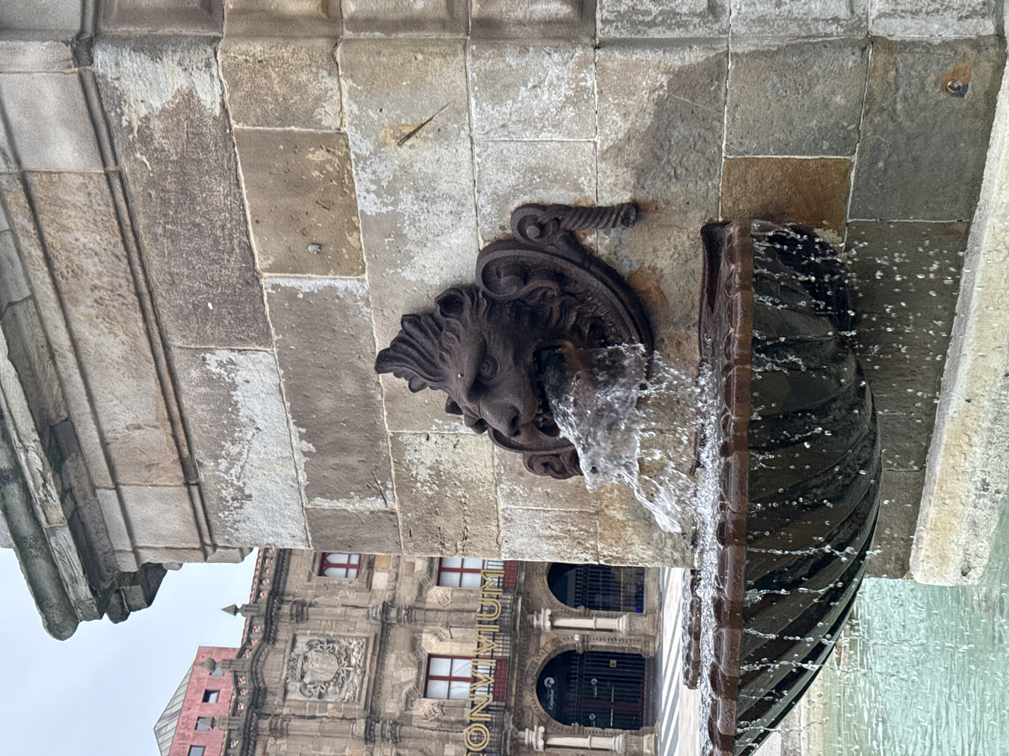 The image shows a close-up of a lion head sculpture acting as a fountain spigot, with water gushing from its mouth. The sculpture is attached to a stone wall constructed of rectangular blocks. Below the lion's head, a decorative iron gutter catches the falling water. The background features a building with the word "CONVIVIUM" vertically displayed, and multiple windows.
The fountain is located in the city of Gijón/Xixón, Spain, due to the presence of the word "CONVIVIUM" on the building which is a restaurant on Plaza Mayor in Gijón.