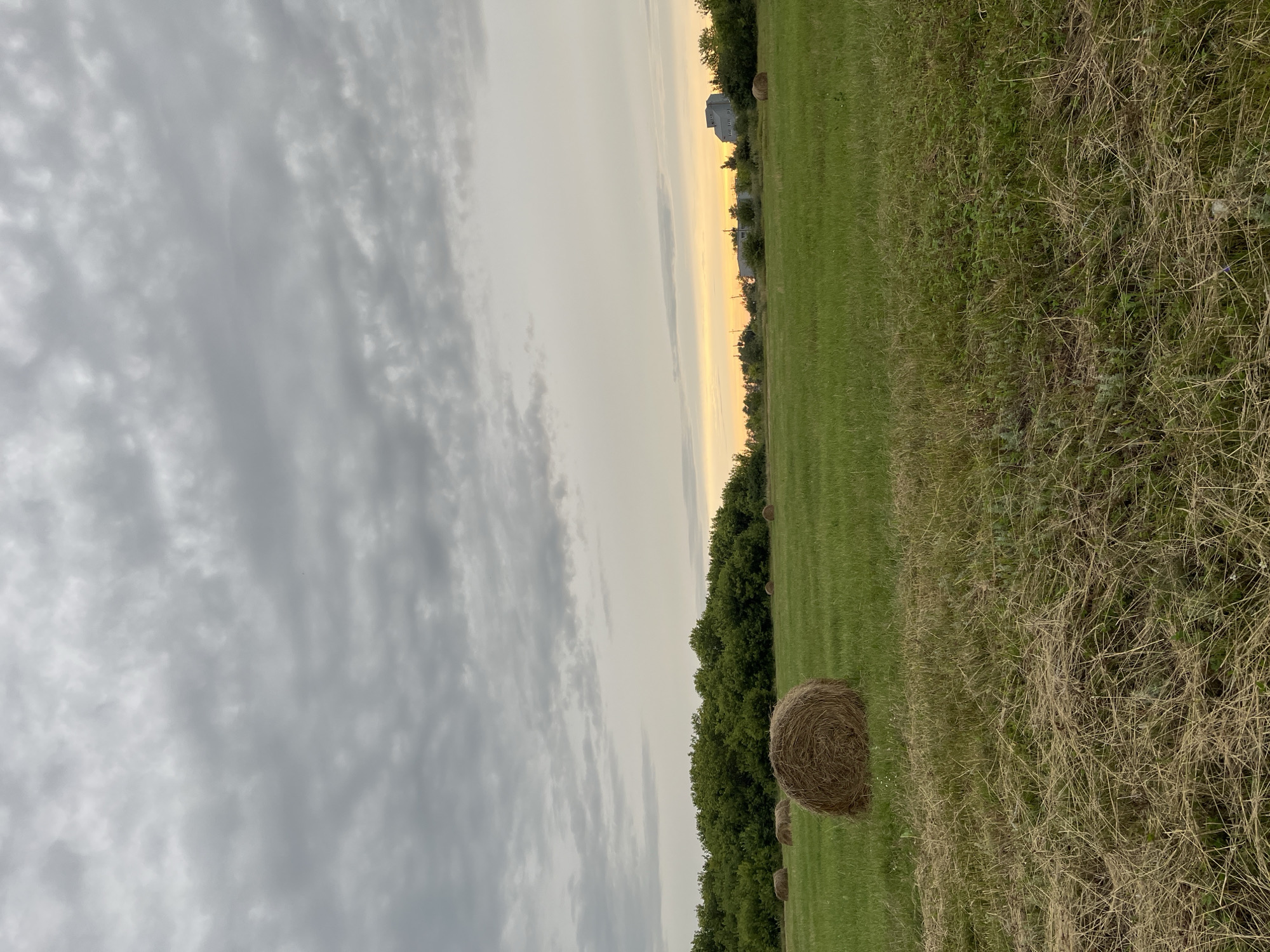 In Istobnoye, Russia, a field at dusk is dotted with several hay bales. The sky above is overcast with a hint of yellow peeking through on the horizon. A line of trees forms a dense backdrop behind the field, with some buildings visible in the distance. The foreground of the field features a mix of green grass and dry, cut hay.