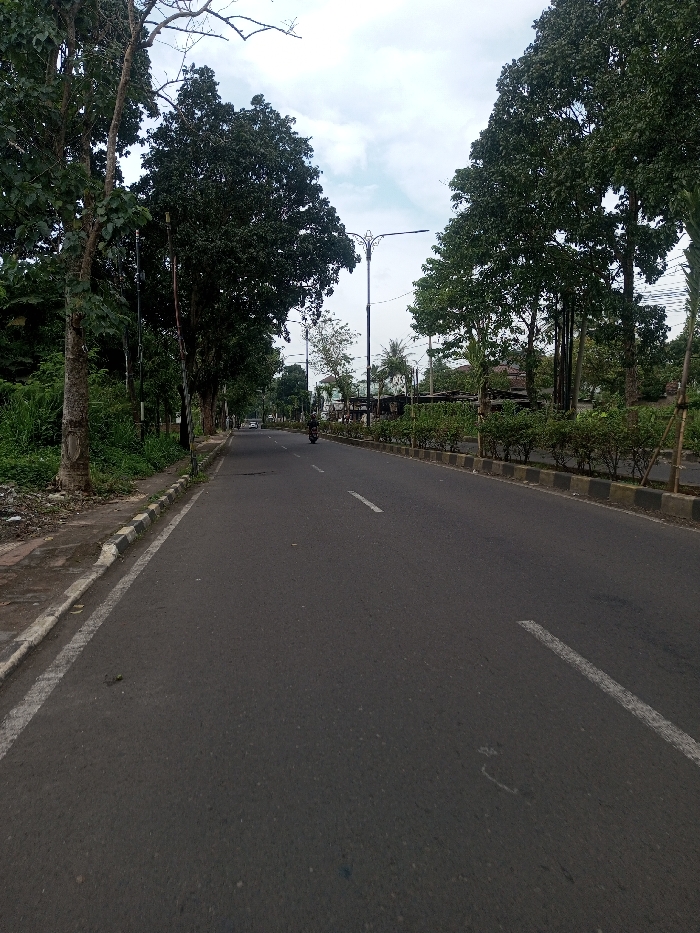 The scene is a multi-lane asphalt road in Chhenangri_Rishor, Bhutan, observed under an overcast sky. The dark grey road features white dashed lane markings. On the left, a concrete sidewalk abuts a black and white curb, beyond which lies an unkempt strip of green vegetation. The right side of the road is separated by a raised median with black and white curbing, containing rows of low, trimmed green shrubs. Tall, leafy deciduous trees line both sides of the roadway, with some bare branches visible against the sky on the upper left. Streetlights with dark poles are positioned along the road, one prominent central light exhibiting an ornate design. A black motorcycle is observed in the right lane, heading away from the viewer in the mid-distance. Further down the left lane, a white vehicle is partially visible, also receding. Distant architectural structures are intermittently discernible through the foliage. No pedestrians are observed.