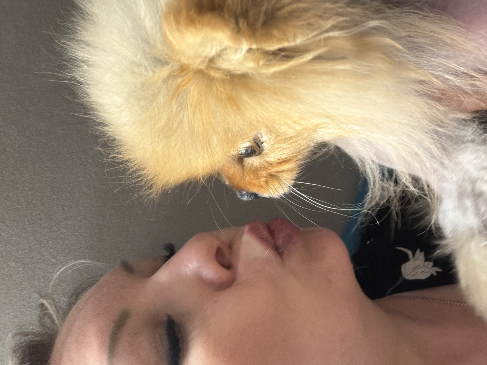 A close-up shot features a woman and a Pomeranian dog. The woman is lying on her back, with her face towards the camera. Her eyes are closed, and she has visible eyelashes and eyebrows. Her nose and lips are clearly visible. Above her face is the Pomeranian dog, its head close to her face. The dog's fur is a mix of orange and white. The dog's nose and whiskers are also visible. The background is a plain grey surface. To the right of the woman's neck, a dark object with a white floral pattern is partially visible. The location is Unknown, Unknown.