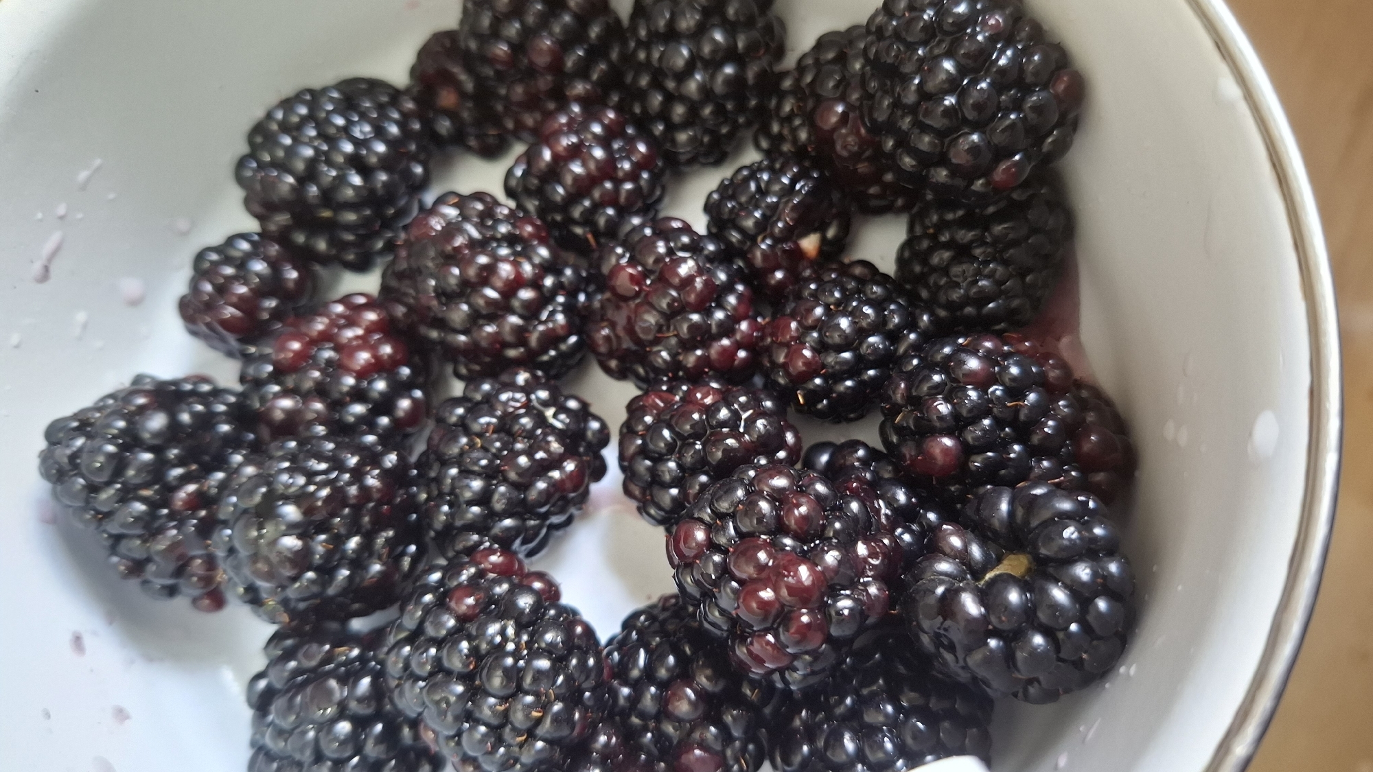 A close-up, overhead shot shows a pile of fresh blackberries in a white bowl. The berries are a deep, glossy purple-black, with some appearing darker and others showing hints of red. Their surfaces are textured with tiny drupelets. A small amount of dark juice has pooled around some of the berries. The bowl has a silver rim and rests on a wooden surface. There is no visible information to determine a specific location within Shymkent, Kazakhstan.