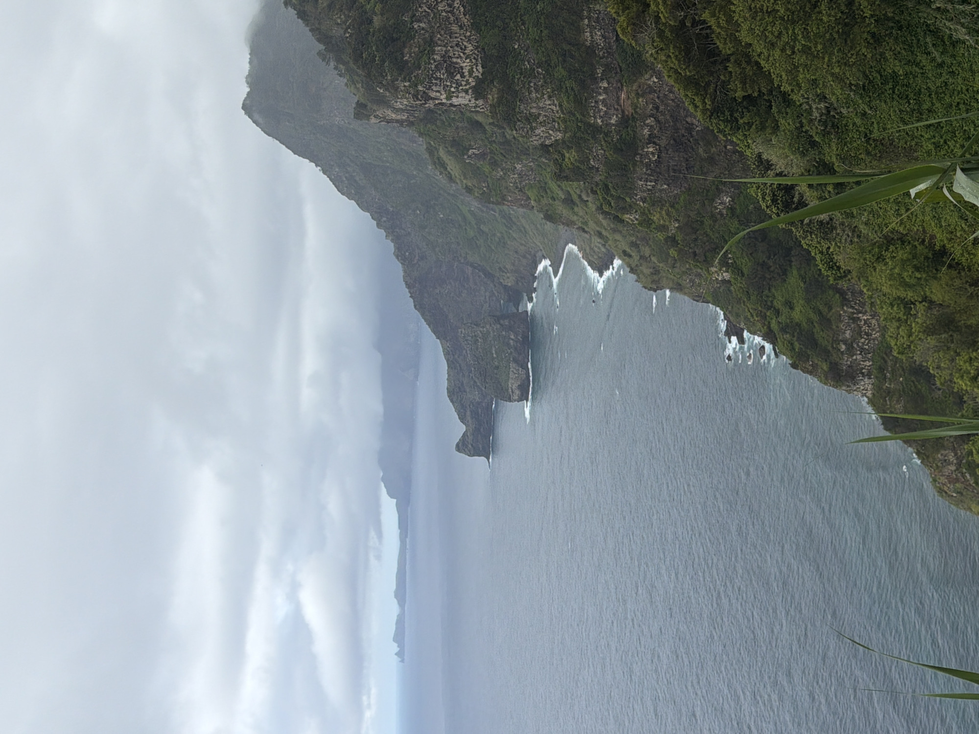 The image shows a coastal landscape with steep, verdant cliffs meeting the ocean. The cliffs are covered in dense green vegetation. The ocean water is gray-blue. The sky is overcast with low-hanging clouds. The image is not in the city of Santana, Portugal. The provided location details appear to be inaccurate.
