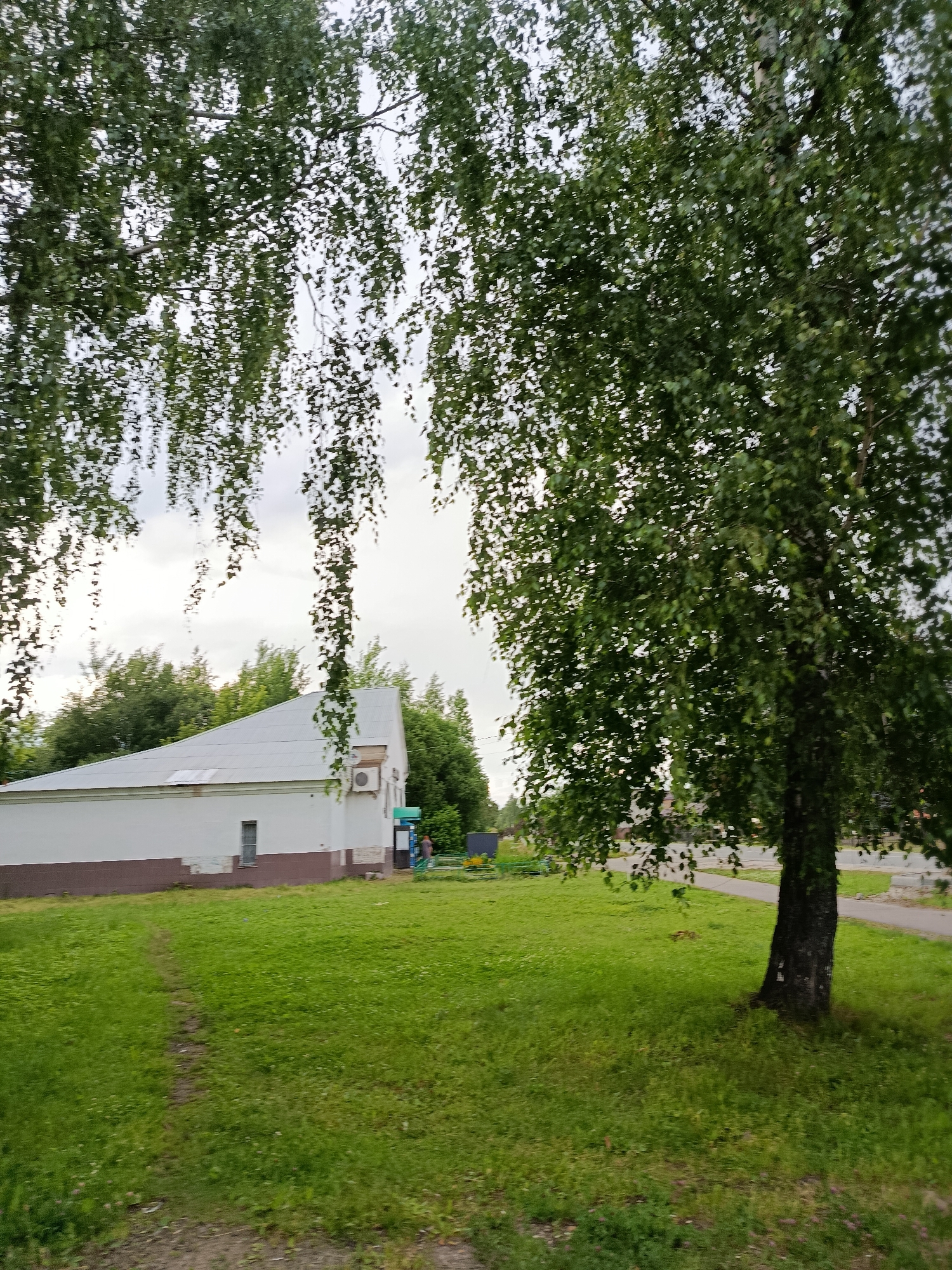 The image depicts a scene in Veriya, Russia, featuring a long, low white building with a silver metal roof. An air conditioning unit is mounted on the exterior wall of the building. To the left of the building, a path is visible in a well-maintained grassy lawn. A large birch tree with dark bark and abundant green foliage stands in the foreground, partially obscuring the view of the building. The sky is overcast. The scene appears to be a public space, possibly a park or a communal area, given the presence of the building and the open lawn.