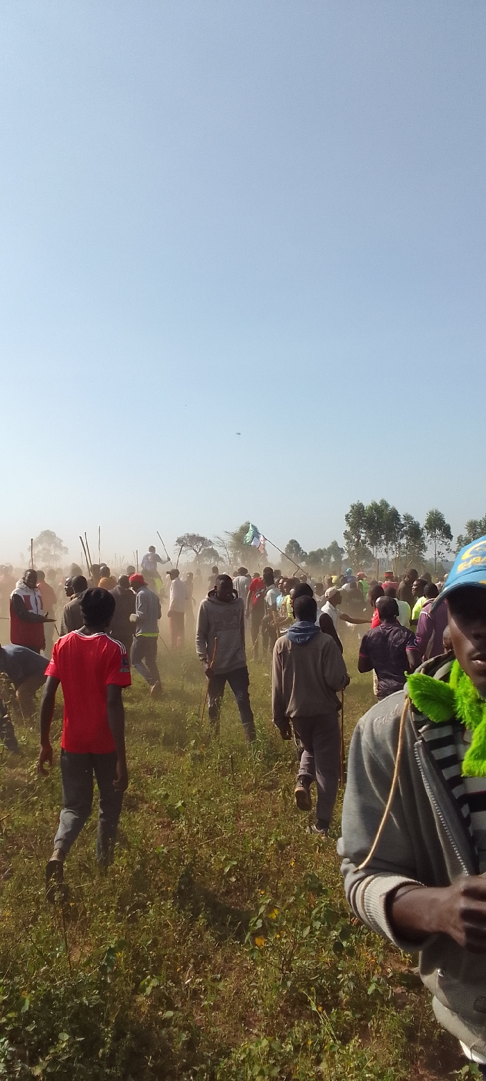 The image captures a large gathering of people, predominantly men, in a dusty, grassy field in Isukha ICHINA, Kenya, under a bright, hazy blue sky. A significant amount of dust is visible in the air, particularly in the middle ground, indicating active movement by the crowd.
The subjects are numerous individuals, many of whom are carrying long, slender sticks or clubs. They are spread across the field, with some in the foreground, others in the midground partially obscured by dust, and more in the background near a line of trees. In the immediate foreground to the right, a person is partially visible, wearing a blue cap with an unreadable white logo and a distinctive bright green, feathery neck accessory. Another person in the foreground, seen from behind, wears a red t-shirt.
The scene is an open, rural or semi-rural landscape. The ground is covered with green and brown vegetation. In the distant background, scattered trees with light green foliage are visible. The sky is clear but appears very hazy, especially closer to the horizon, contributing to the dusty atmosphere. A very small, dark, indistinct object can be faintly observed high in the sky.
The activity appears to be a communal gathering or movement, possibly a march, protest, or a traditional event, given the presence of sticks carried by many. The time of day is clearly daylight, likely late morning or early afternoon due to the bright sun. No clear, readable text is discernible on any objects or clothing. The overall impression is one of a dynamic and possibly intense outdoor event.