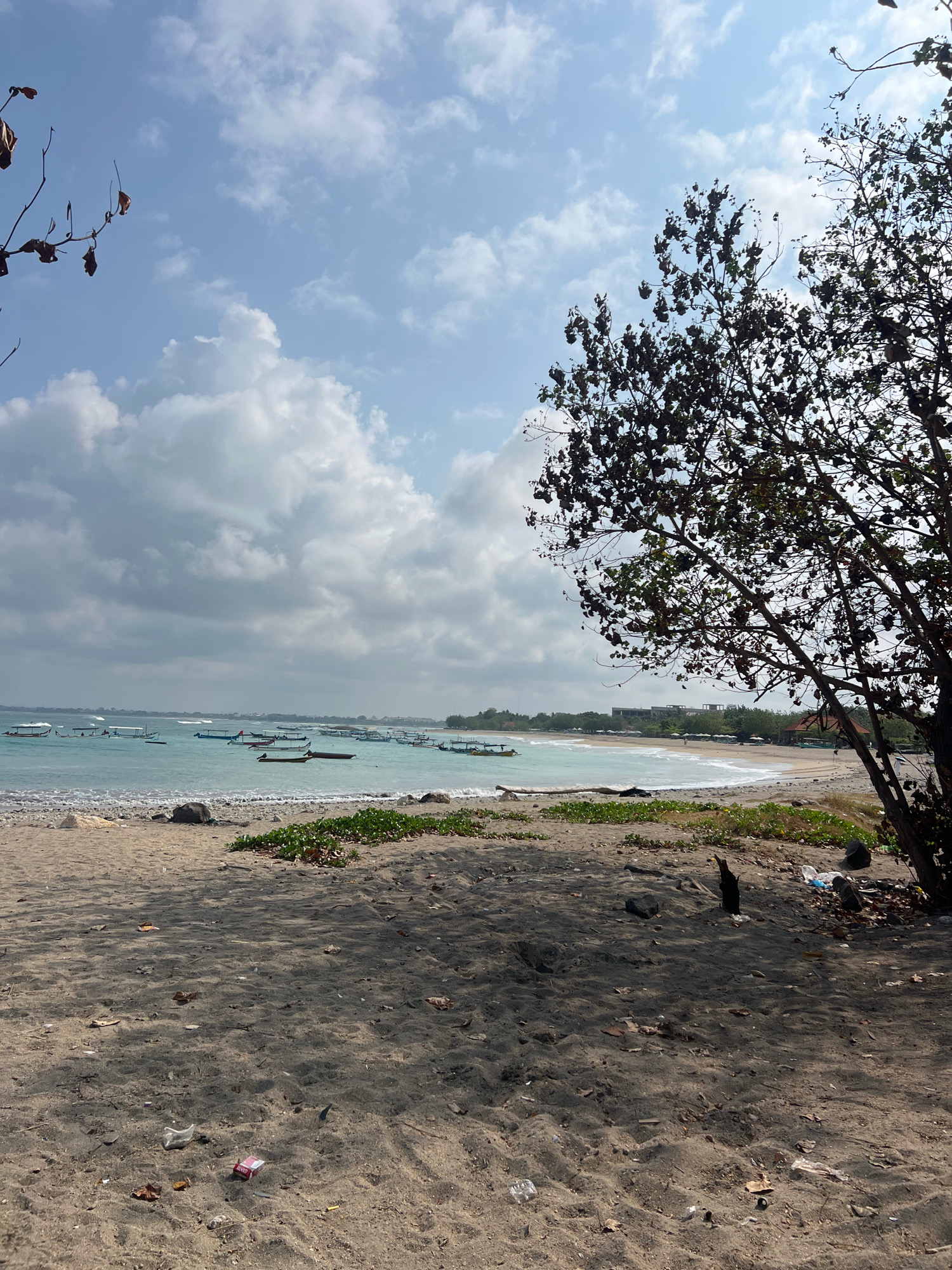 The image depicts a beach scene in Kuta, Indonesia, on a partly cloudy day. The foreground is dominated by sandy beach with scattered debris, including plastic wrappers and fallen leaves. A small patch of green vegetation grows closer to the water's edge. In the middle ground, the gentle turquoise ocean meets the shore with small waves. Numerous traditional outrigger boats are anchored or drifting on the water. The background reveals a distant coastline with some buildings nestled amongst trees, and beyond that, a hazy horizon. A large tree with sparse foliage occupies the right side of the frame, casting shadows on the sand. The sky above is a mix of blue with large, fluffy white clouds.