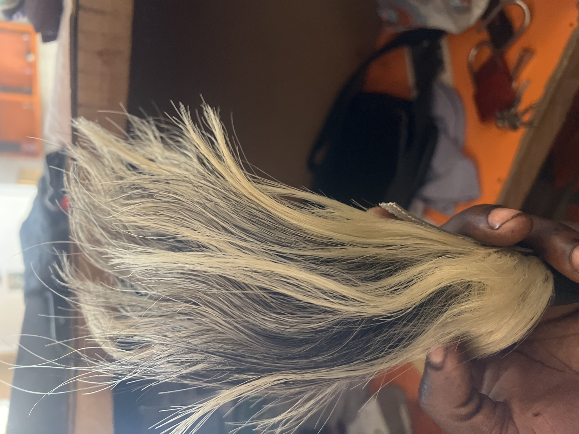 In Jalingo, Nigeria, a close-up shot shows a hand holding a bunch of blonde and dark hair. The hair appears to be synthetic, possibly from a wig or hair extension. The background is blurred, revealing an orange surface with some items on it, including keys and what looks like a bag. The lighting suggests an indoor setting.