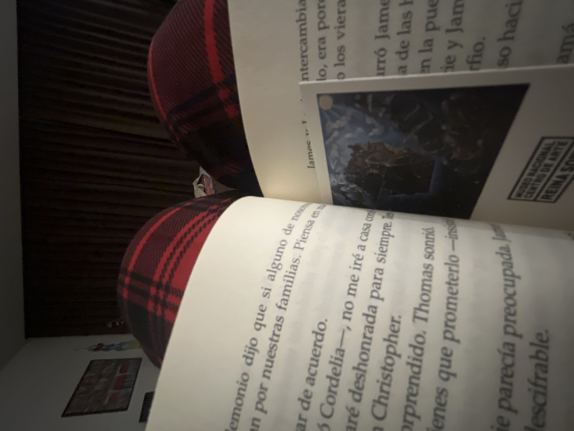 The image shows an open book, with a picture on the right page and text in Spanish on both pages. The book is resting on a surface covered with red and black plaid fabric. The text on the left page includes the phrases "emonio dijo que si alguno de nosch" and "6 Cordelia-, no me iré a casa com". The text on the right page mentions "James" and "intercambia". A small logo on the right page reads "MUSEO NACIONAL CENTRO DE ARTE REINA SO". A wall with dark brown horizontal lines is visible in the background, and part of a wall with a framed picture is visible in the bottom left. The location of the image is within Mexico City, Mexico.