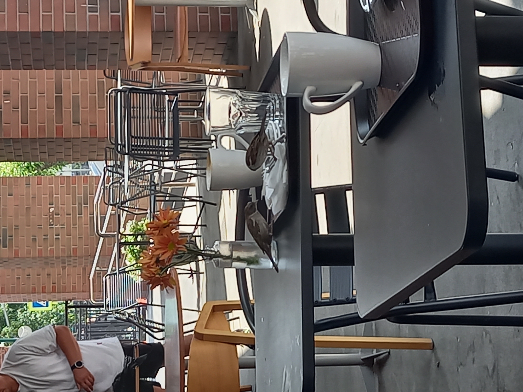 A medium shot captures an outdoor seating area at a cafe. In the foreground, a dark, rectangular table holds two white coffee mugs, one on a black tray. To the left of the mugs, a small sparrow is perched on a white paper napkin, pecking at something unseen. To the right of the sparrow, another sparrow stands near the base of a glass. A clear glass vase with a bouquet of orange flowers sits to the left of the mugs. In the background, several empty outdoor tables and chairs are visible, with a brick building facade and greenery beyond. A person, partially visible at the far left, wears a light-colored t-shirt and dark shorts. The overall scene suggests a casual outdoor dining environment, possibly in Yekaterinburg, Russia, given the context.