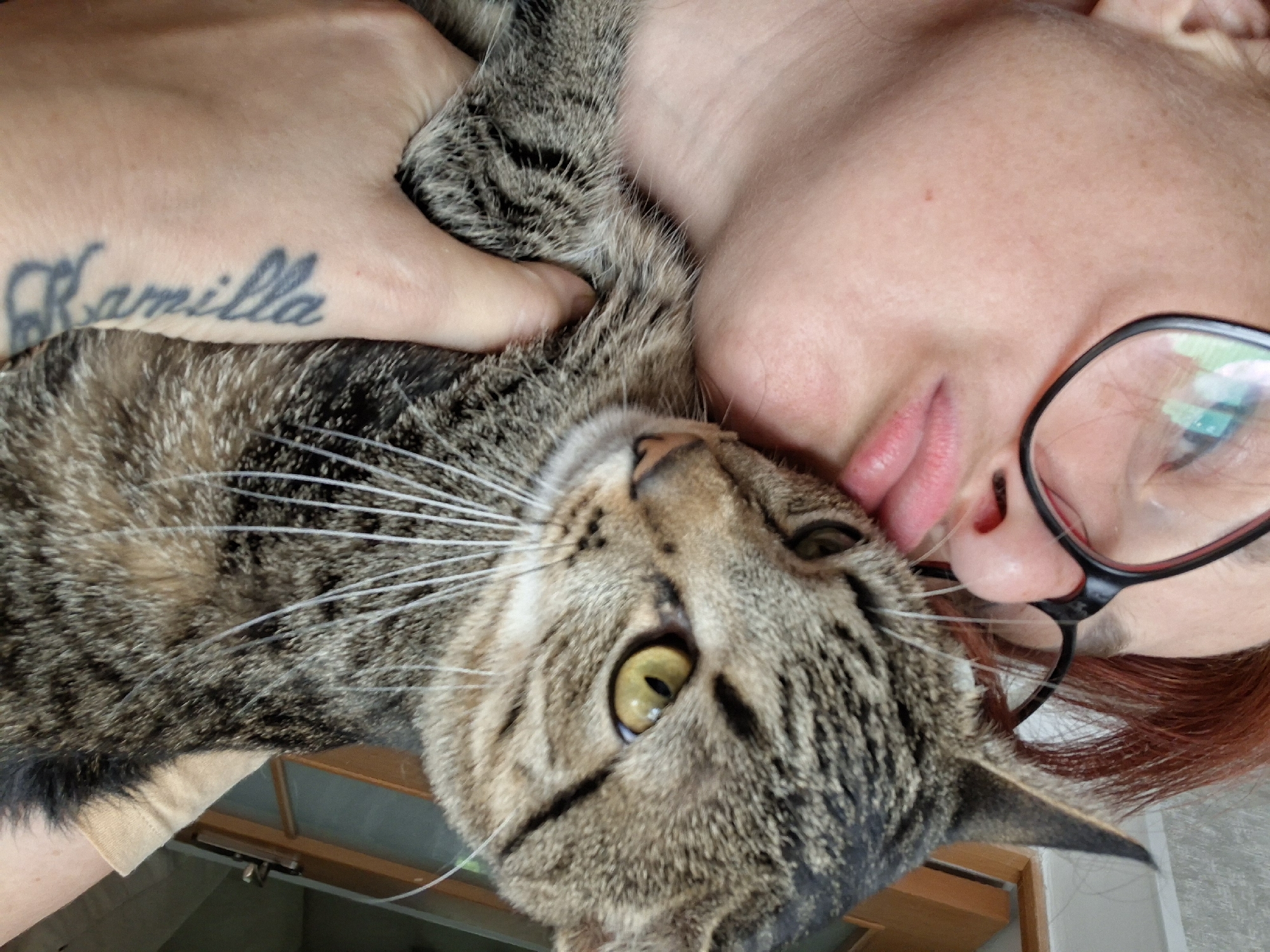 A close-up, medium shot shows a person with reddish hair, wearing black-rimmed glasses, holding a tabby cat. The person's face is partially visible, with their lips pursed towards the cat's head. A tattoo is visible on the person's left forearm, with the name "Camilla" written in script. The cat has green eyes and is looking to the right. The background is blurred, but appears to be an indoor setting with a doorway visible. The overall lighting is bright.