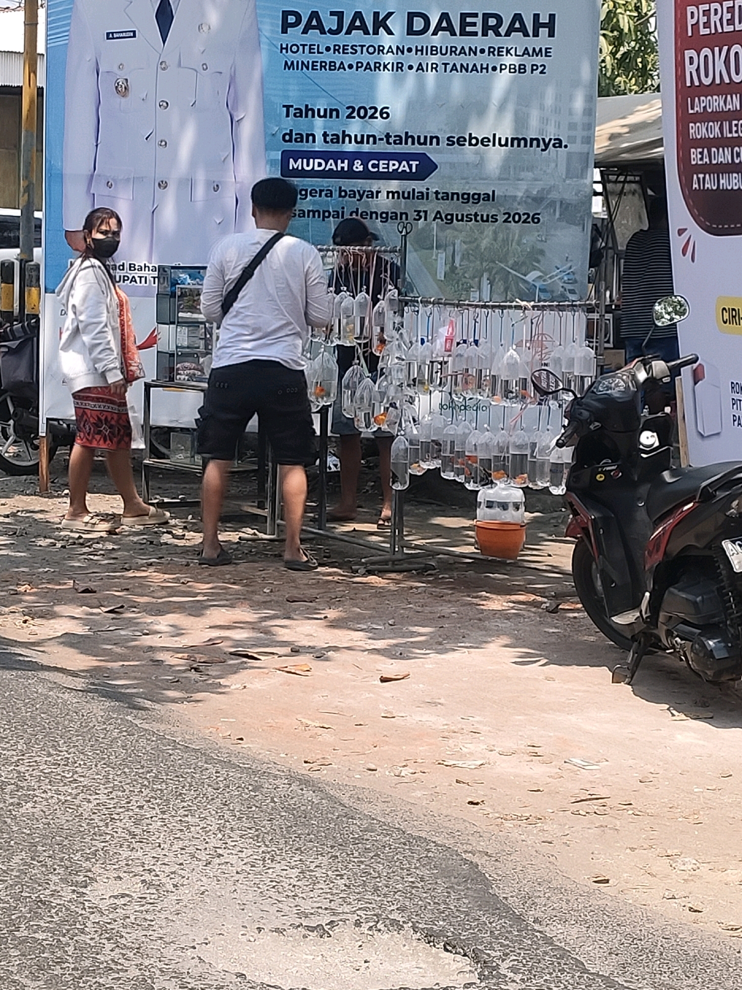 In the city of Kalangan, Indonesia, a street scene unfolds with a focus on a makeshift stall selling fish in bags. Two individuals stand near the stall, one a woman wearing a white hoodie and a patterned skirt, with a black mask covering her face. The second person, a man, wears a white t-shirt and black shorts, with a black bag slung over his shoulder. Behind them, a large banner displays tax information with Indonesian text. The stall itself is laden with numerous plastic bags filled with water and what appear to be small fish, hanging from a rack. An orange bucket and a larger water container are also present at the base of the stall. A motorcycle is parked to the right of the scene, its front wheel and handlebars visible. The ground is dusty and uneven, with scattered leaves and shadows indicating overhead trees. The overall environment suggests an outdoor market or roadside sale.