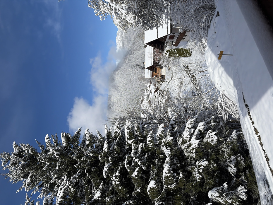 The image presents a snow-laden winter landscape in La Clusaz, France, under a clear blue sky with scattered white clouds. The foreground consists of a snow-covered surface, possibly a retaining wall or balcony edge, casting a distinct shadow. A yellow directional sign with black text, partially legible as "SENTIER DR...", is positioned in the snow on the lower right. The midground depicts a sloping terrain with numerous snow-covered trees, including a prominent evergreen conifer on the left. Several chalet-style houses are visible, featuring pitched roofs heavily coated with snow. One house exhibits light wooden siding, while another has white walls with dark brown trim. In the background, forested mountains, also covered in snow, recede into the distance, with some upper sections partially obscured by mist or clouds. No individuals, animals, vehicles, or active subjects are discernible within the frame.