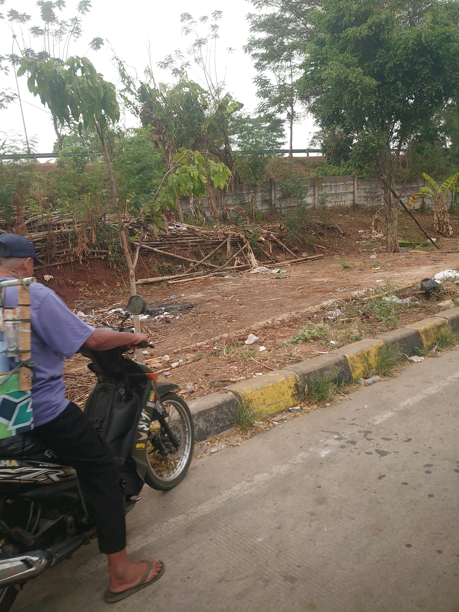 In Depok, Indonesia, a person wearing a blue cap and a purple shirt rides a dark-colored motorcycle. They are seen from behind, and their left foot is bare with a gray flip-flop. The motorcycle has a black seat and a black storage compartment behind the rider. Attached to the back of the motorcycle is a light-colored rack with clear plastic containers. The motorcycle is parked on an asphalt road next to a curb painted with yellow and black stripes.
The environment appears to be a roadside area with uneven terrain. A concrete wall with graffiti runs along the background. The ground is covered with dirt, debris, and scattered pieces of wood and bamboo, suggesting an unkempt or construction-adjacent area. Numerous green trees and plants are visible, some with thin trunks and sparse foliage, while others are denser. The sky is overcast.