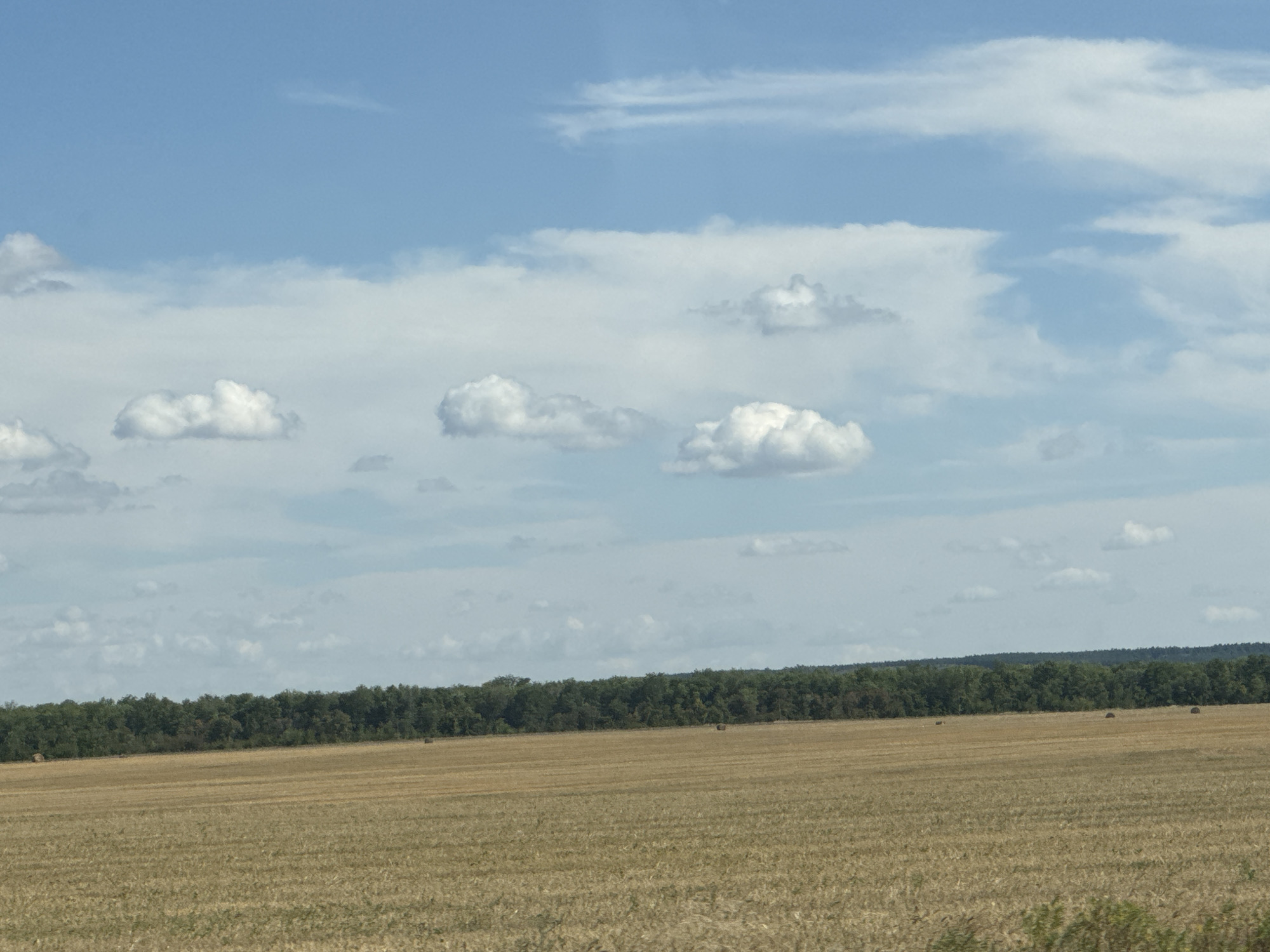 The image depicts a wide, harvested agricultural field under a bright blue sky with scattered white clouds. The field is covered in dry, golden-brown stubble, suggesting a recent harvest. In the distance, a dense line of dark green trees forms a horizon, separating the field from the sky. There are no people or animals visible in the frame. The environment is rural and tranquil. The location in Gamaleevka-1, Russia, is not discernible from the image itself.