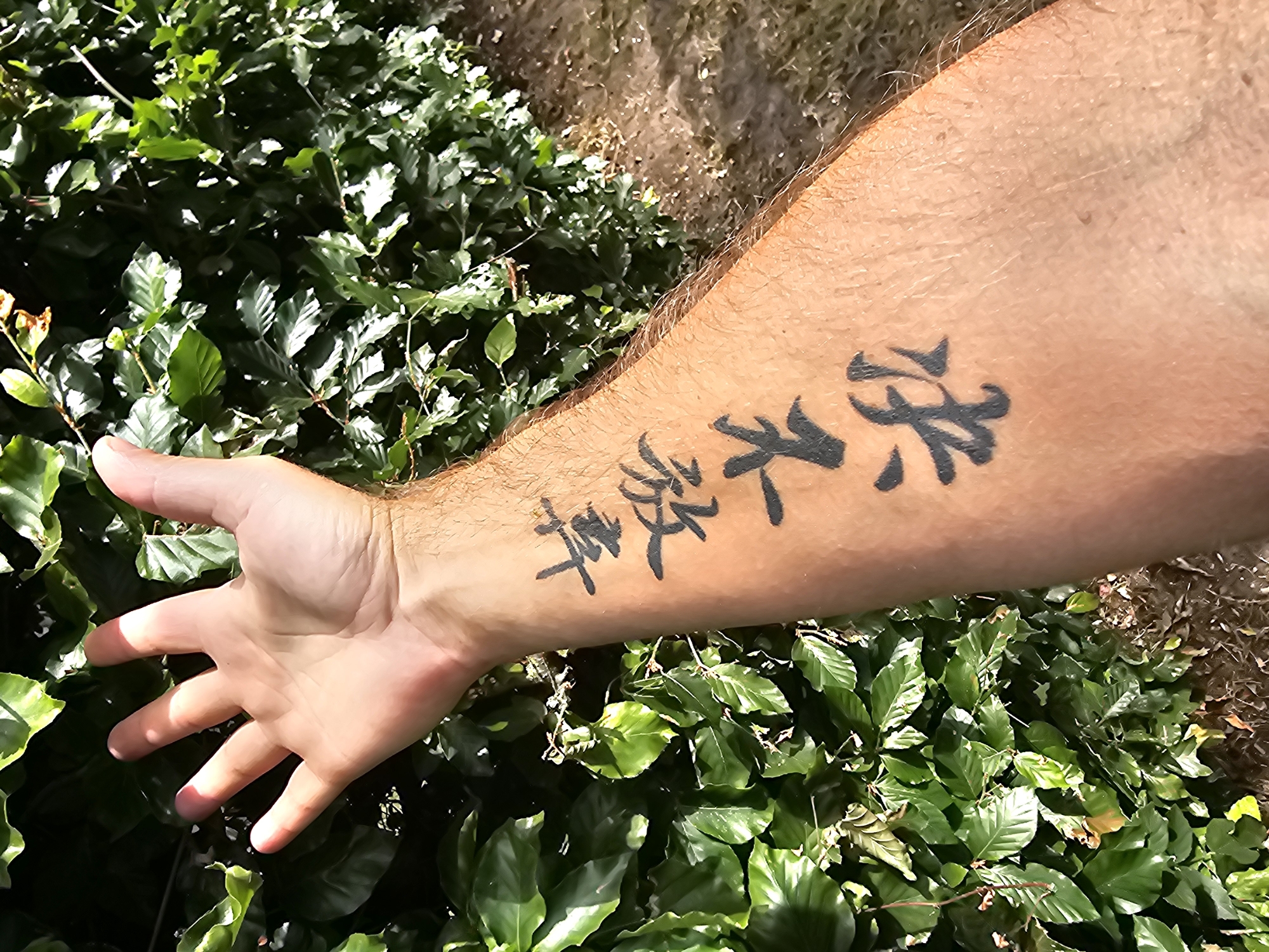A person's forearm, with a tattoo of Chinese characters on the skin, is held up against a backdrop of lush green foliage. The tattoo appears to be in black ink and is positioned vertically on the arm. The foliage suggests an outdoor setting, possibly a garden or park. The location is specified as Breckland District, United Kingdom.