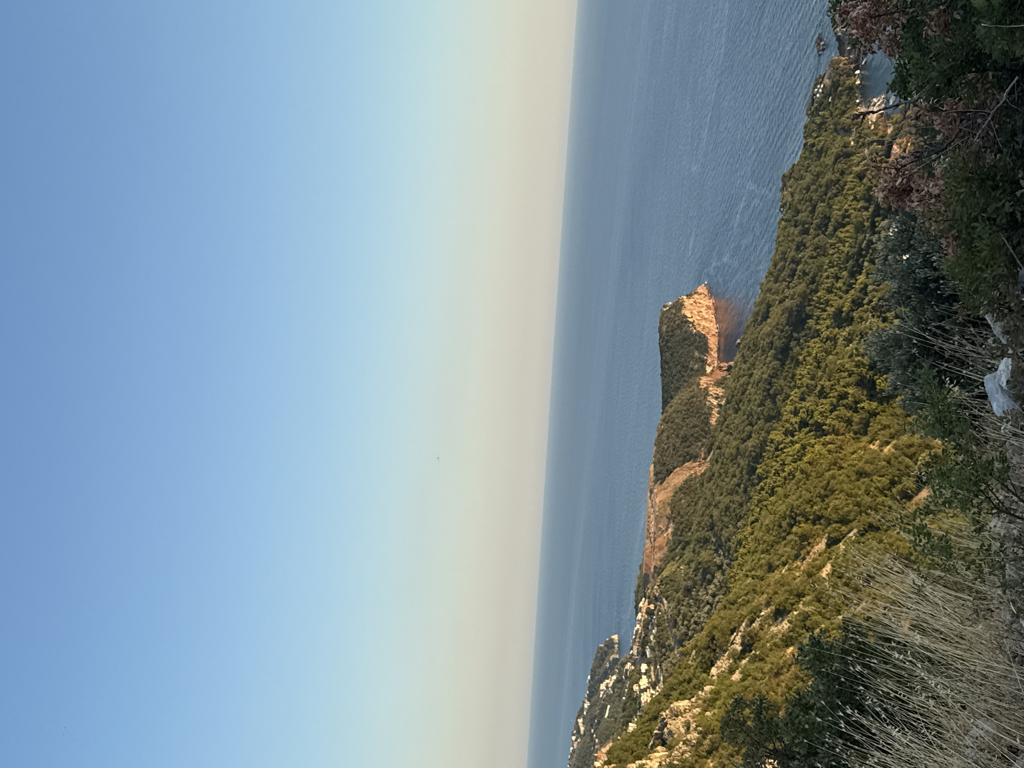 A high-angle view of a coastal landscape in Sveti Stefan, Montenegro, shows a clear blue sky transitioning to a pale horizon above a calm, deep blue sea. The foreground is dominated by a steep, verdant hillside covered in dense green trees and shrubs. Dry, light-brown grasses and some sparse green foliage are visible in the immediate foreground.
Further down the hillside, nestled among the trees, are scattered white buildings of a small settlement. The coastline curves, revealing a rocky promontory jutting into the sea, with a sheer cliff face illuminated by the warm, low-angled light of what appears to be late afternoon or early morning sun. A patch of reddish-brown exposed earth is visible on the hillside, indicating some form of excavation or natural erosion. The sea stretches to the horizon, with gentle ripples visible on its surface. No people or animals are depicted in the image. The overall scene depicts a serene natural environment with a hint of human habitation.