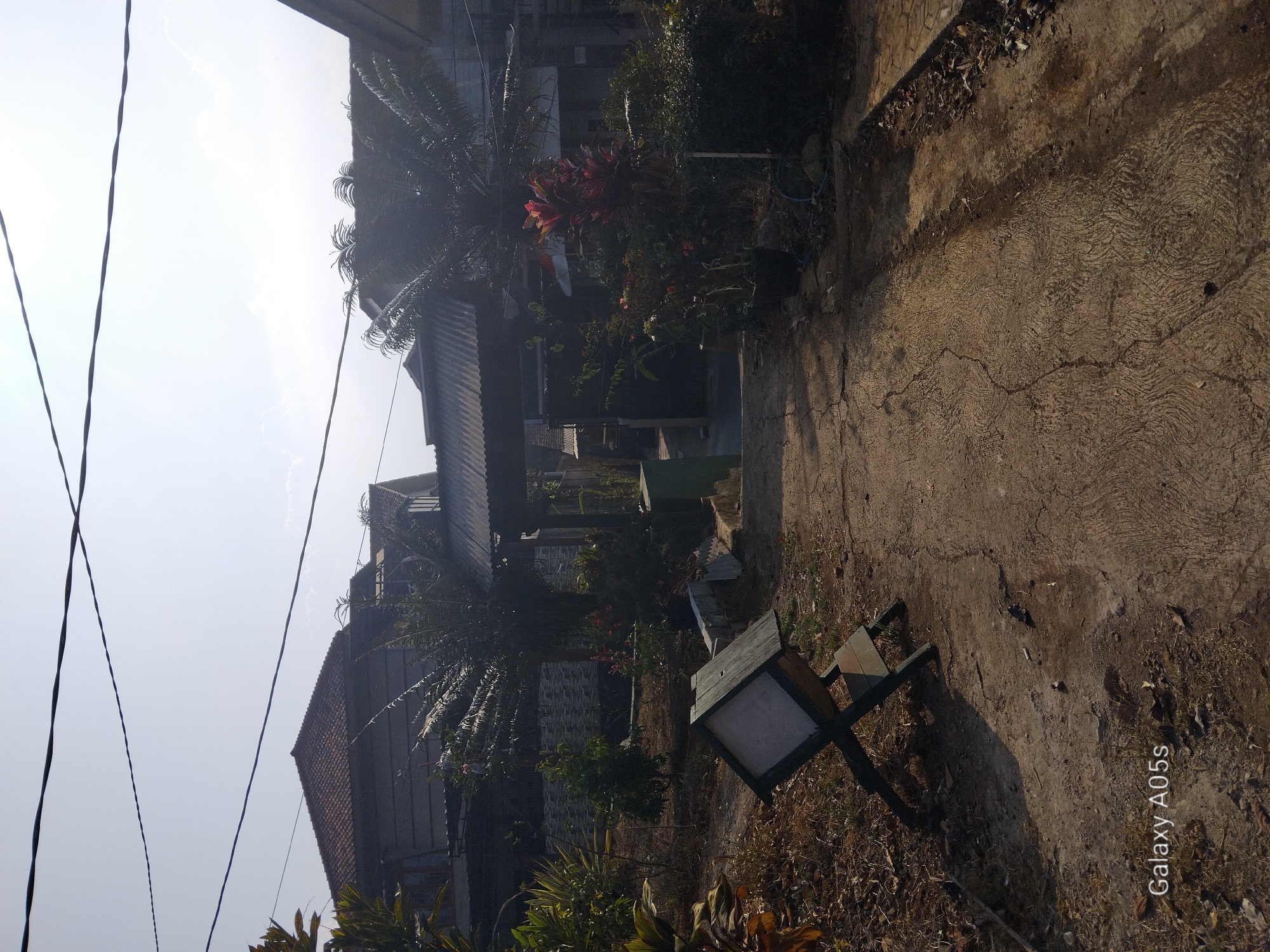 The image shows a view of a residential area with several houses visible. In the foreground, there is a pathway made of concrete with a distressed texture. To the left of the pathway, there is a wooden structure with a white panel, possibly a birdhouse or a decorative item. Dry leaves and twigs are scattered on the ground around it. Beyond the pathway, there are various plants, including palm trees and other greenery. A covered entrance or walkway with a corrugated metal roof is visible in the middle ground, leading towards the houses. The houses have tiled roofs, and one appears to be two stories. Power lines are strung across the sky, which is bright and clear with some faint clouds. The scene appears to be in a rural or suburban setting in Sumedang, Indonesia, given the architecture and vegetation typical of the region. The lighting suggests it is daytime, likely morning or afternoon, with the sun casting shadows. There are no people visible in the image.