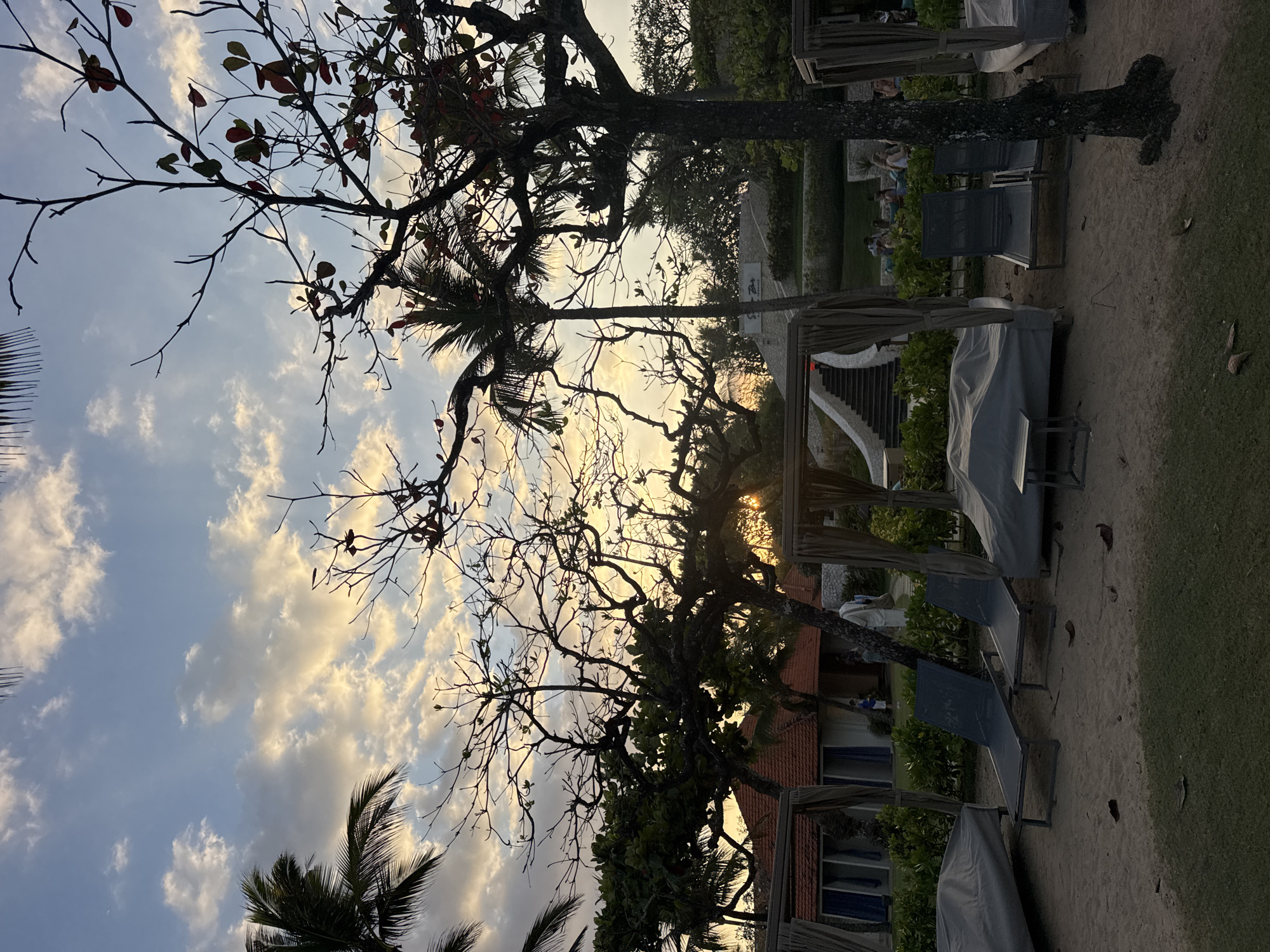 The image depicts a beach resort area in Kuta Selatan, Indonesia, during what appears to be sunset or late afternoon. The foreground is dominated by sand, with several lounge chairs, some covered by gray fabric, and two uncovered dark gray lounge chairs in the center. A dark, gnarled tree trunk is prominent on the right side of the frame, with bare branches reaching upwards against the sky.
Behind the lounge chairs, a row of cabana-like structures with tan fabric can be seen. Beyond these, there are buildings with orange tiled roofs and white walls, suggesting resort accommodations. Lush green bushes line the area in front of the buildings. In the middle ground, a white stone staircase with dark steps ascends a gentle slope. Further back, there is a building with a sign that reads "Sunset Bar". Several people are visible in the mid-ground, some sitting at tables near the bar area, and others walking around.
The sky is a mix of pale blue with scattered clouds, tinged with warm hues from the setting sun, which is visible as a bright orb peeking through the branches of a tree in the mid-left of the image. Palm trees are visible on the left and in the background, adding to the tropical atmosphere. The overall scene conveys a sense of tranquility and relaxation typical of a beach resort.