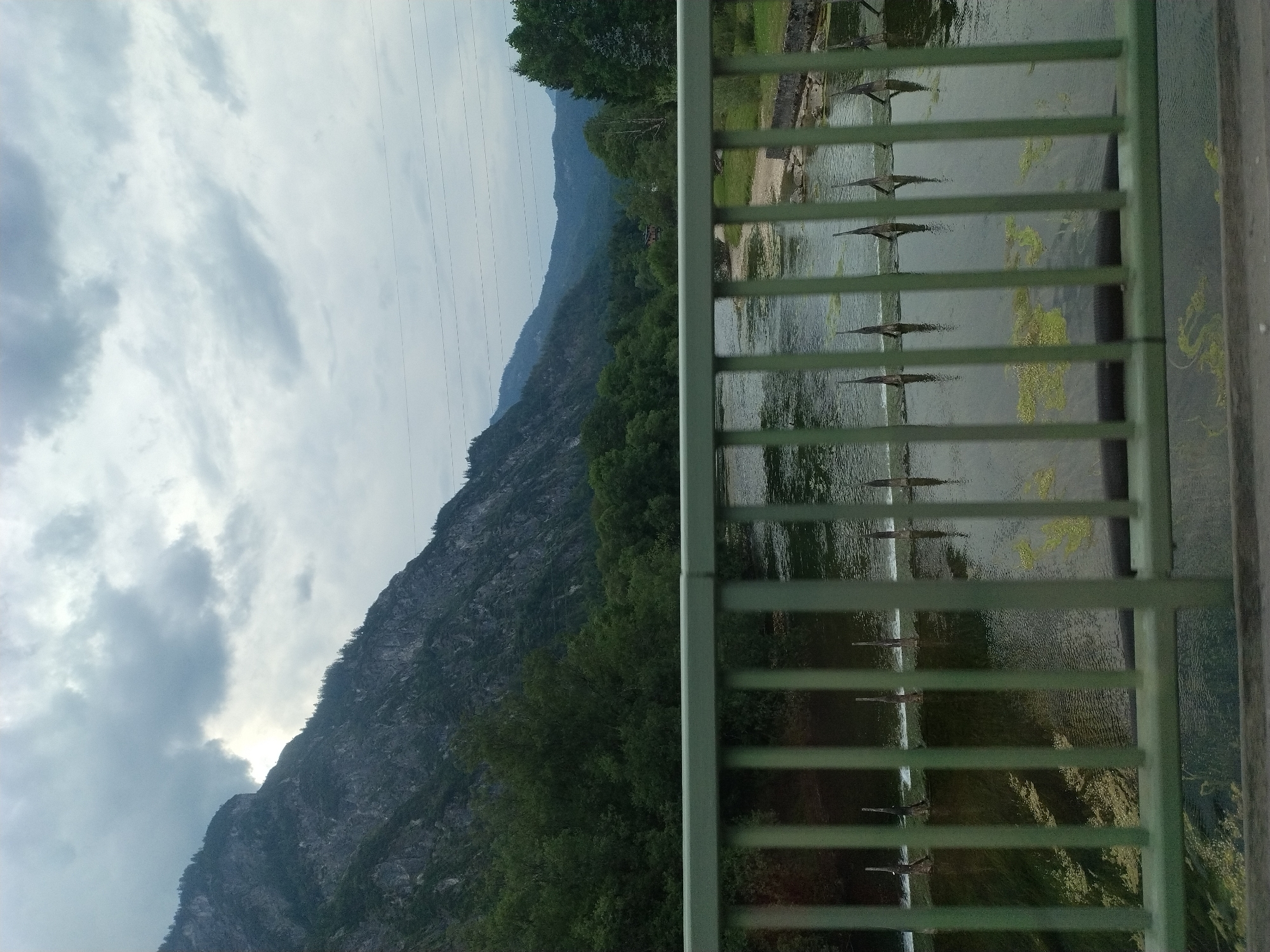 The image is a medium-shot, eye-level, outdoor photograph taken from a bridge overlooking a river in St. Agatha, Austria. The sky is overcast with heavy, grey clouds. A large, steep, rocky mountain covered in dense green trees dominates the left side of the frame, extending into the distance. The river flows from the background towards the foreground, its surface partially covered with green algae or vegetation. In the middle ground, a low dam or weir with several vertical wooden posts is visible across the river. On the right bank of the river, trees and some greenery are present. The foreground is occupied by the railing of the bridge, painted green, which has vertical bars. Power lines are faintly visible in the upper portion of the sky. The scene is devoid of any people. The overall impression is a natural, somewhat somber landscape.