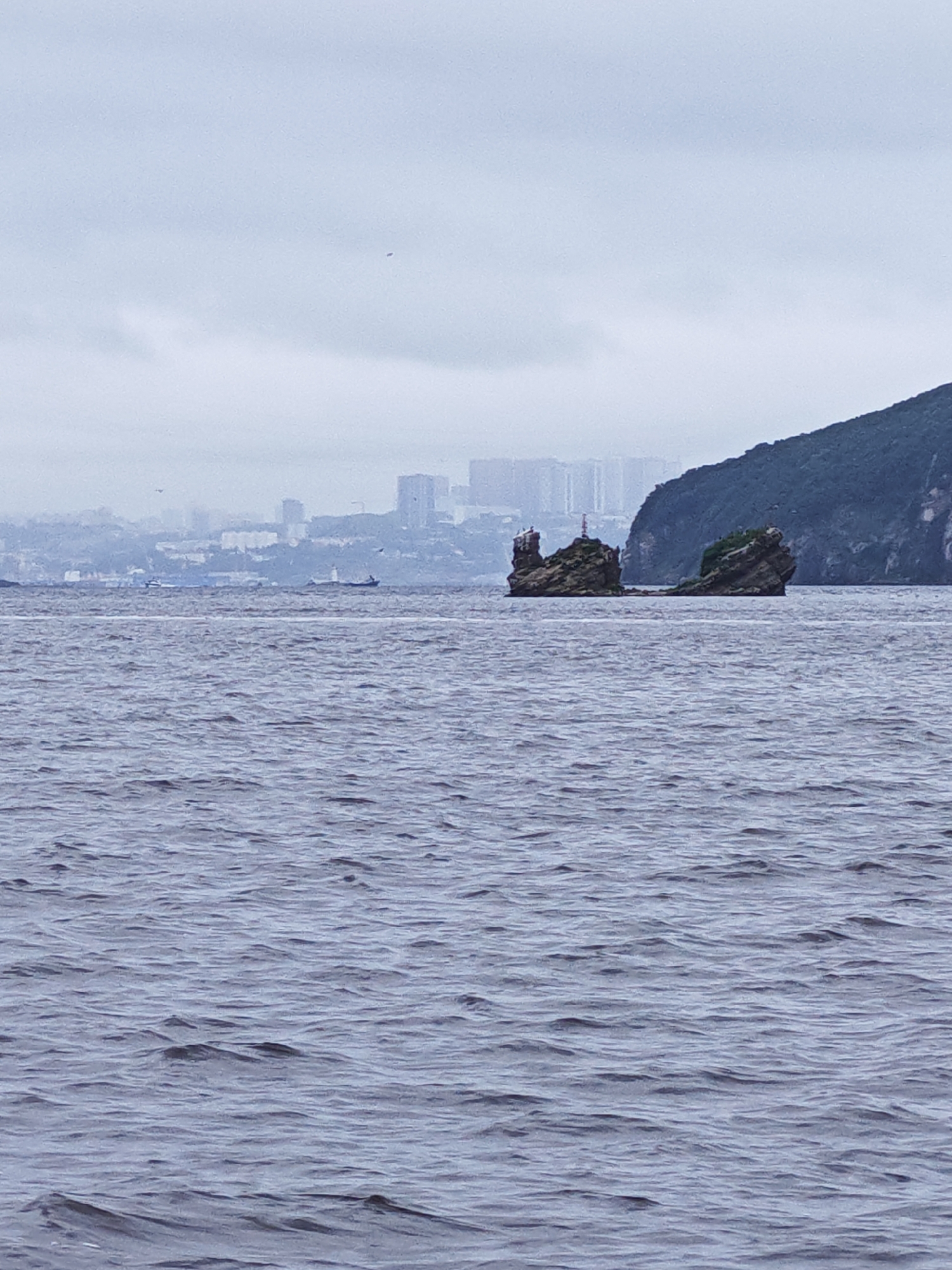The image depicts a body of water with gentle waves. In the distance, a rocky island with some vegetation is visible, and behind it, a city skyline with buildings can be seen. A dark, green, forested hill forms the right side of the frame. The sky is overcast with clouds. The scene is likely a view of the sea or a large bay in or around Russky Island, Russia, given the city skyline in the background and the natural landscape elements.