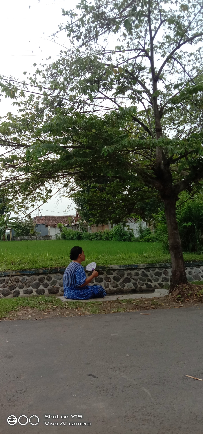 A woman in a blue patterned dress sits on a stone curb next to a road, under the shade of a large tree. She holds a round, white object, possibly a fan. Behind her is a field of green grass and a stone wall, with houses visible in the distance. The sky appears overcast. The scene is captured from a low angle, with the road occupying the foreground.