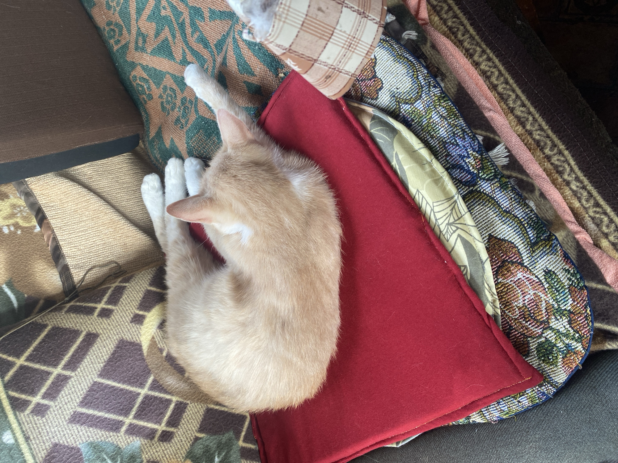 A ginger and white kitten is curled up asleep on a stack of colorful blankets. The kitten is on its side, with its head tucked in and its paws extended. The blankets are layered on top of each other, with various patterns and textures. The scene appears to be indoors, likely in a home. There are no people or other animals visible. The environment is cluttered with textiles, suggesting a cozy and lived-in space. The image does not provide any information about its location in the city of Smolyan, Bulgaria, or any other geographical context.