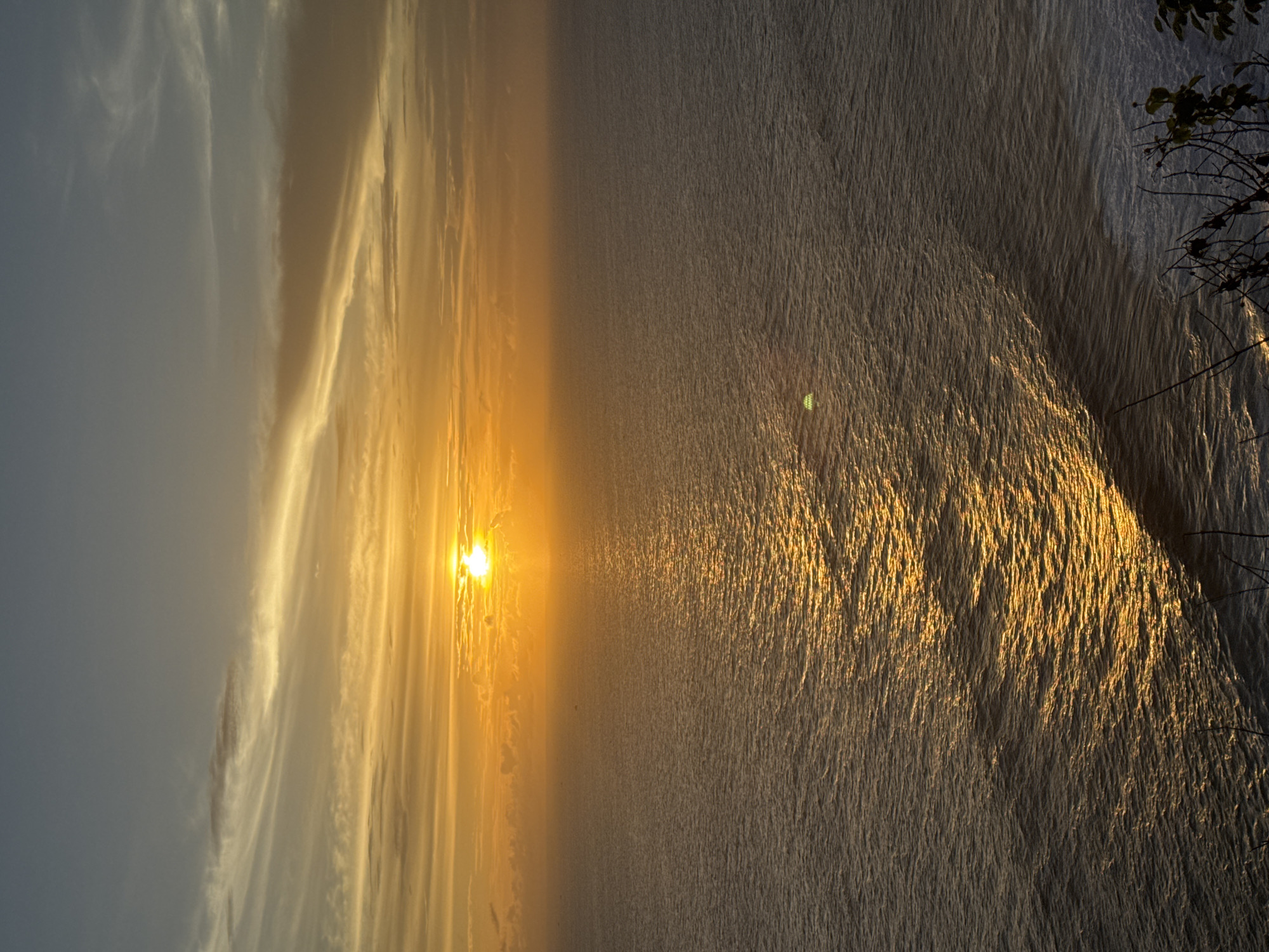 The image shows a golden sunset over a body of water, possibly the ocean, in an unknown location in the city of Unknown, Unknown. The sun is low on the horizon, casting a bright golden light across the water, creating reflections and a shimmering effect. The sky is partially covered with clouds, which are also illuminated by the setting sun. Some branches of a tree are visible on the side.