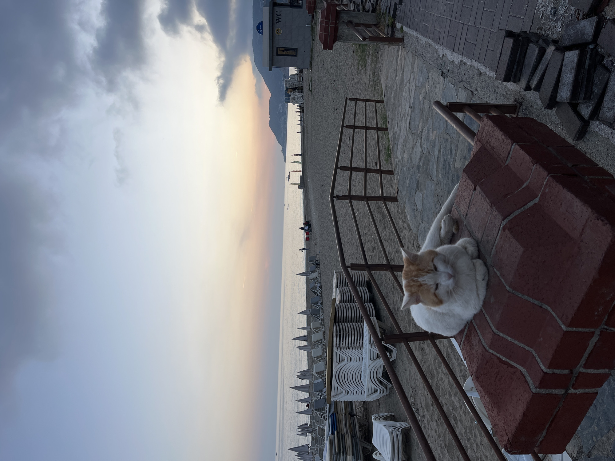 The image shows a beachfront scene in Alanya, Turkey. In the foreground, a white and orange cat is curled up on a brick ledge near a metal railing. Beyond the railing, a sandy beach stretches out towards the sea, lined with rows of stacked white plastic sun loungers. In the distance, the sea meets a horizon with a subtle sunset glow, and a small building with "WC" visible on its side faces the beach. People are seen as small figures on the beach, and in the far background, a mountain range is silhouetted against the sky. The sky itself is a mix of gray clouds and lighter areas, suggesting either dawn or dusk. A pathway made of stone bricks is visible beside the beach.