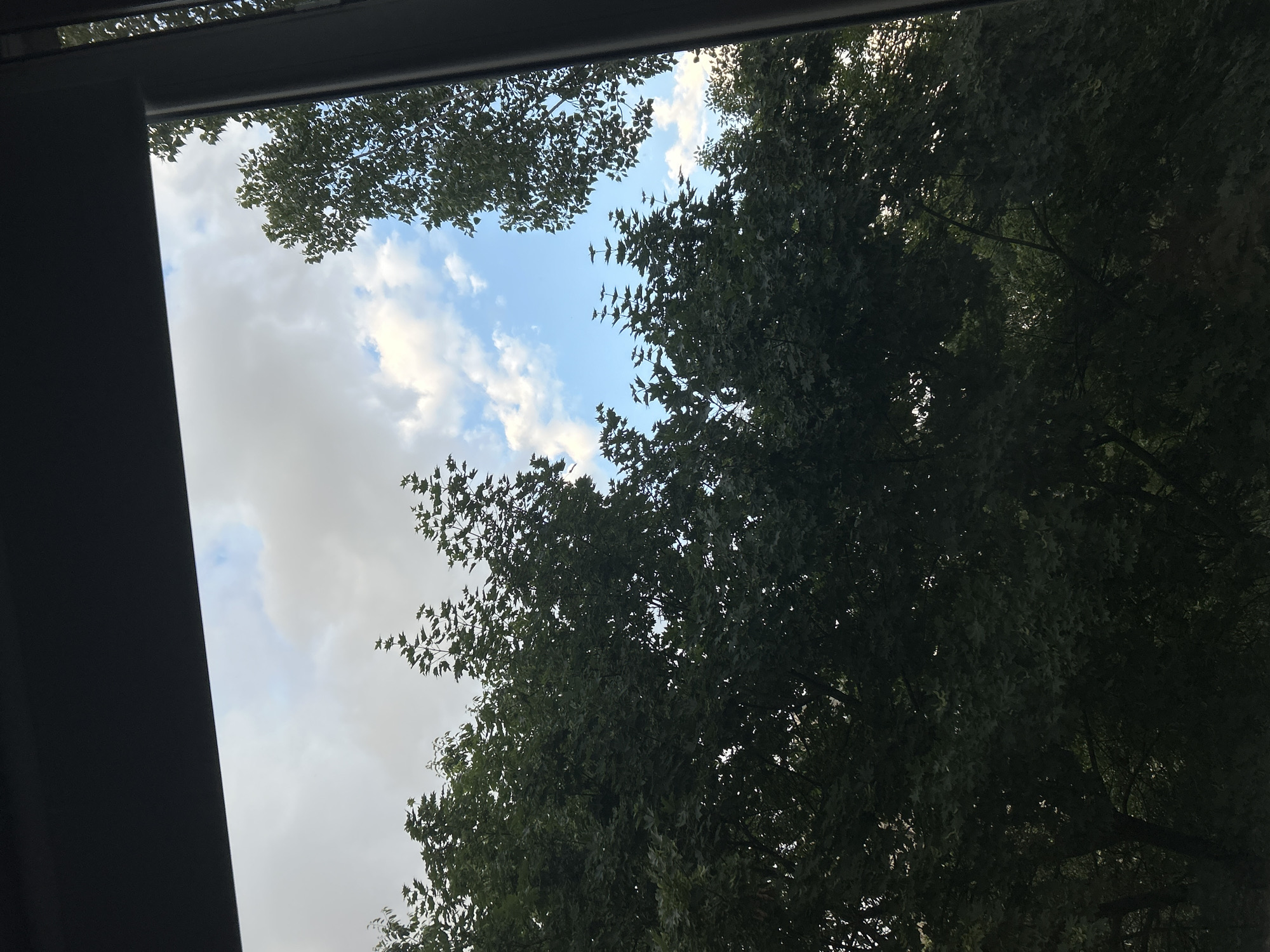 The image presents an upward view of a partly cloudy sky framed by the dense canopy of trees and a dark, angular border, suggesting the photo was taken from inside a vehicle or building, looking out through a window or sunroof.
The sky features patches of clear blue alongside scattered white and light grey clouds, indicating daytime. Sunlight is visible, filtering through the tree leaves, creating variations in light and shadow within the foliage.
Lush green trees occupy a significant portion of the frame, particularly on the right and extending towards the bottom right, with a smaller section visible at the top left. The leaves appear dense, with some areas darker due to shade and others showing brighter, sunlit spots.
A prominent dark, angular structure forms a border along the top and extends down the left side of the image, likely representing a car roof or window frame. No people or specific objects are visible beyond these elements. There is no discernible activity taking place, and no visible text. The weather appears to be bright and partly cloudy. The context provided indicates the location is Sofia, Bulgaria.