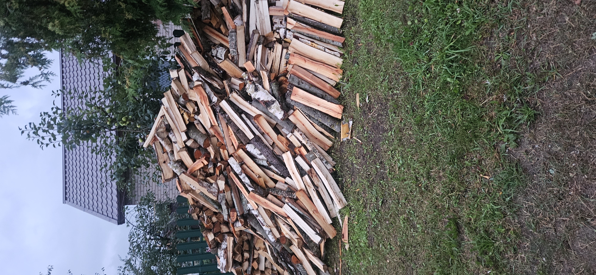 The image depicts a large pile of cut firewood stacked on a grassy area in front of a brick building with a grey, wavy-patterned metal roof. The building is partially obscured by trees, some of which have green leaves and appear to be fruit-bearing. The firewood consists of logs of varying sizes and thicknesses, predominantly of birch and other hardwood species, with some logs showing rough bark and others appearing more processed. The wood is stacked in a somewhat disorganized manner, with some pieces lying horizontally and others at angles. The ground in front of the firewood is covered in short, green grass and some patches of dirt. The overall scene suggests a rural or suburban setting. The location is identified as Liozna, Belarus. There are no people visible in the image. The sky is overcast and grey.