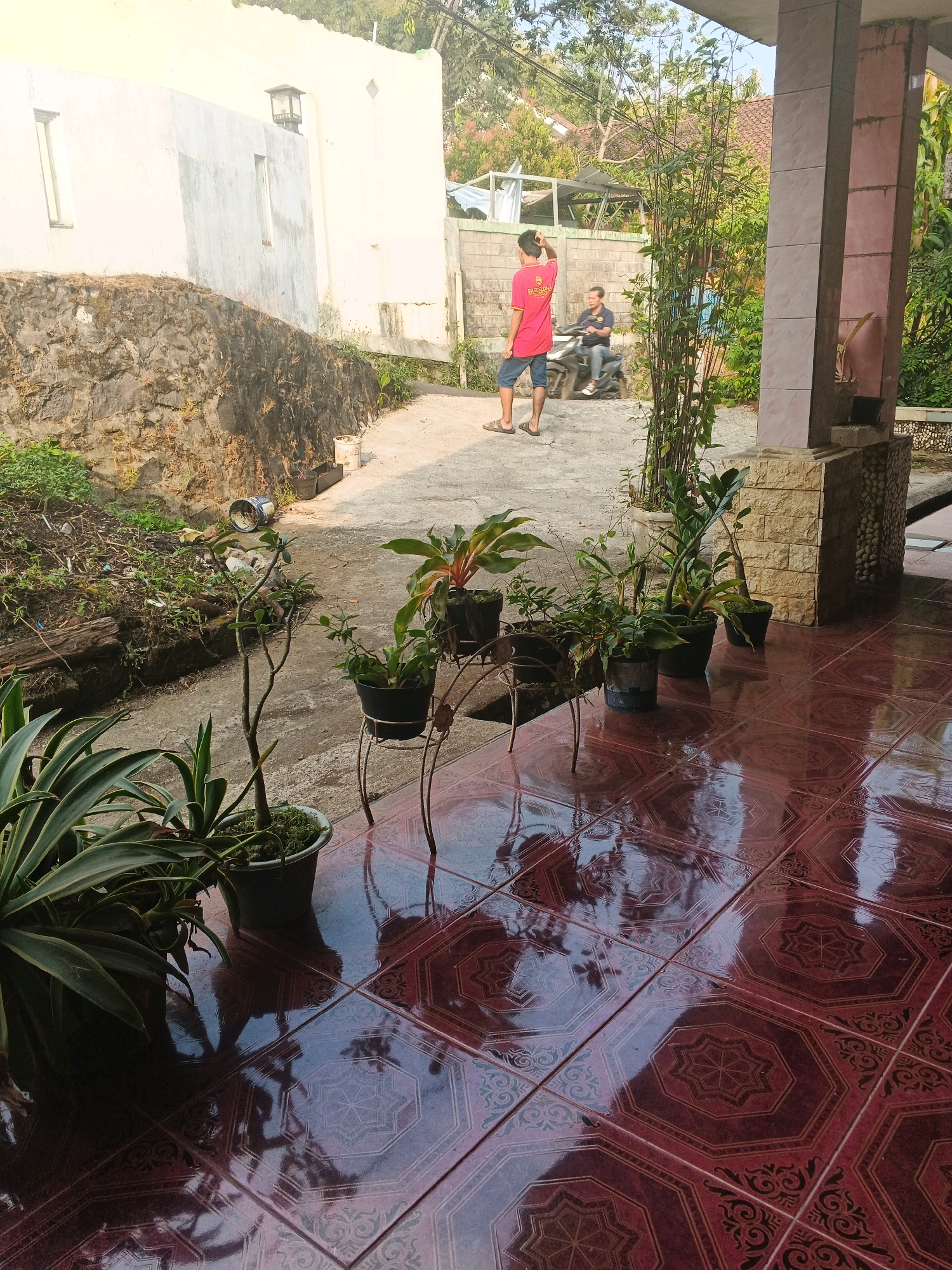 The image depicts an outdoor scene in Keji, Indonesia, likely a residential area. In the foreground, a tiled patio with a reddish-brown color and an octagonal pattern is visible. Several potted plants are arranged on the patio, including a large spiky plant on the left and smaller plants in black pots on stands. The reflection of these plants and the surrounding environment is visible on the glossy tiles.
In the background, a man in a red t-shirt and denim shorts stands with his hand on his head, facing away from the camera. To his left, another man rides a motorcycle. They are positioned on a paved pathway. Adjacent to the pathway is a low wall constructed from rough stones, partially covered with dry vegetation. Behind the wall, a white building with two rectangular windows and a lantern mounted on the exterior is seen. Further in the background, lush green trees and other vegetation are present, suggesting a semi-rural or suburban setting. The scene appears to be illuminated by natural sunlight.