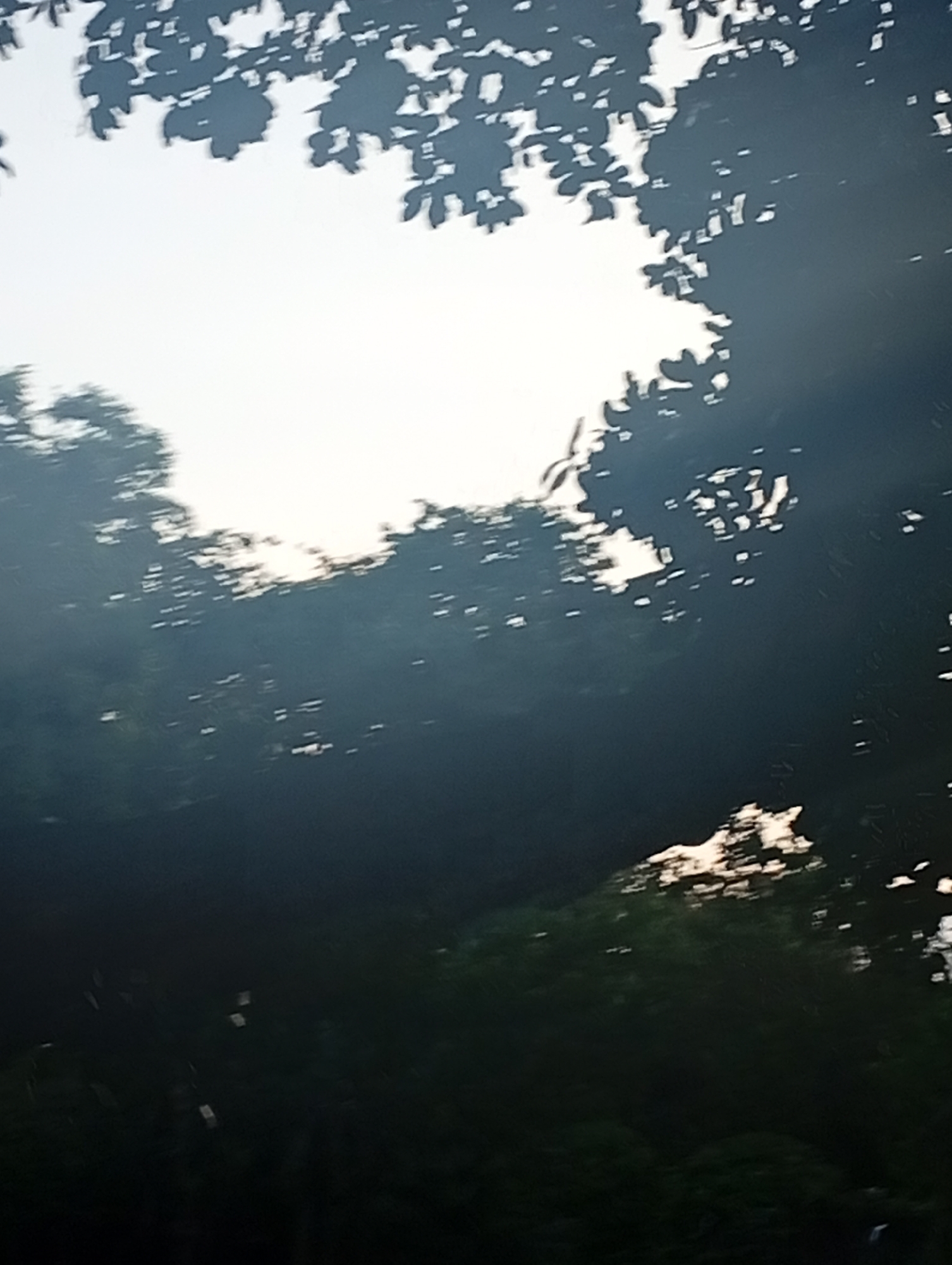 The image shows a view looking upwards through trees toward a bright, overcast sky. The leaves of the trees are mostly silhouetted against the light. The location is likely Denpasar, Indonesia given the prompt.