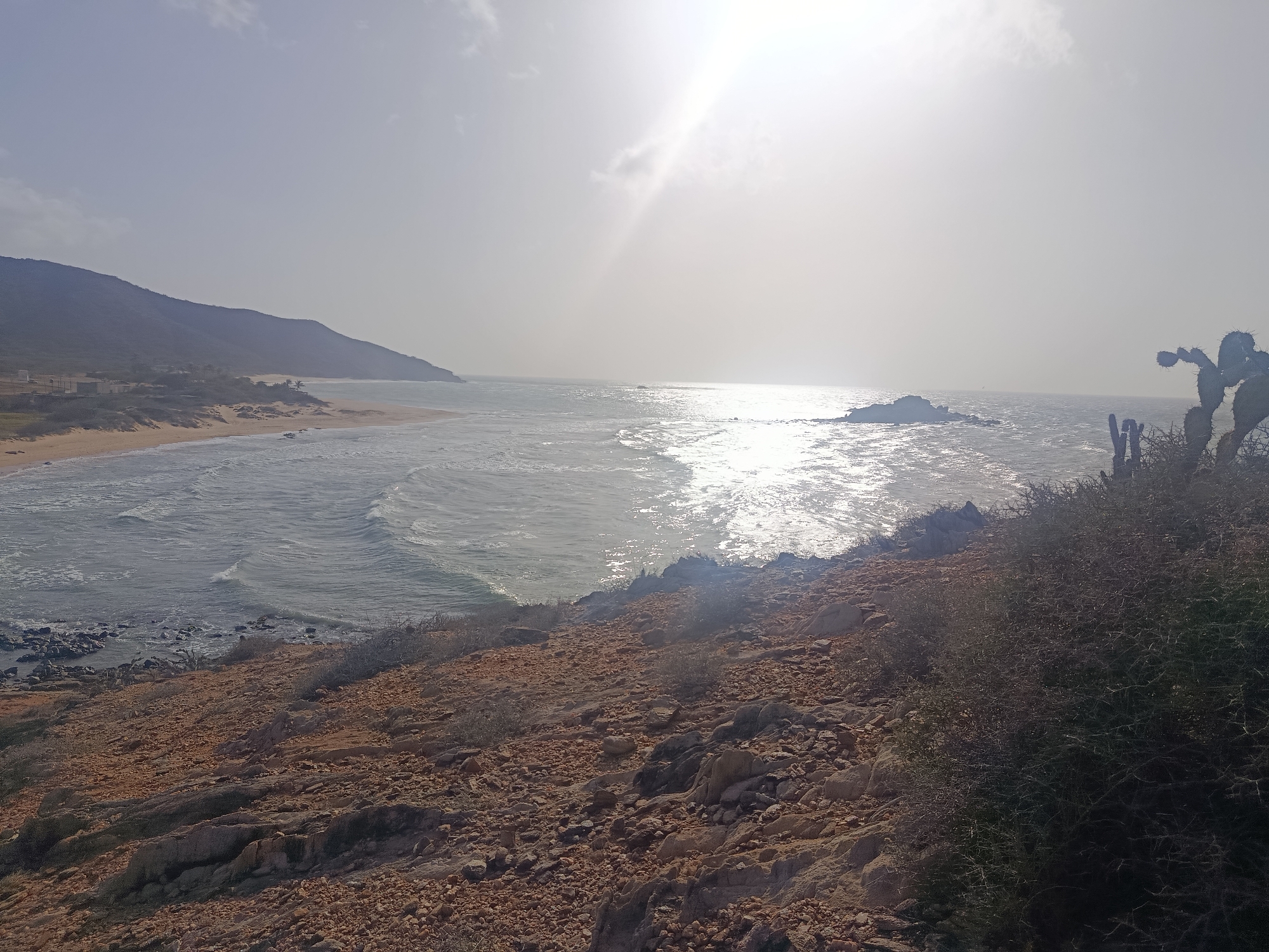The image depicts a coastal scene in Altagracia, Venezuela. The foreground shows rocky, reddish-brown terrain with sparse vegetation, including cacti. The middle ground transitions to the ocean, with waves rolling toward a sandy beach that stretches along the coastline. In the distance, a hill or mountain range is visible, creating a horizon line. The sky is bright, with the sun causing glare and reflections on the water's surface. There are no people visible. A small rocky island is present in the water.