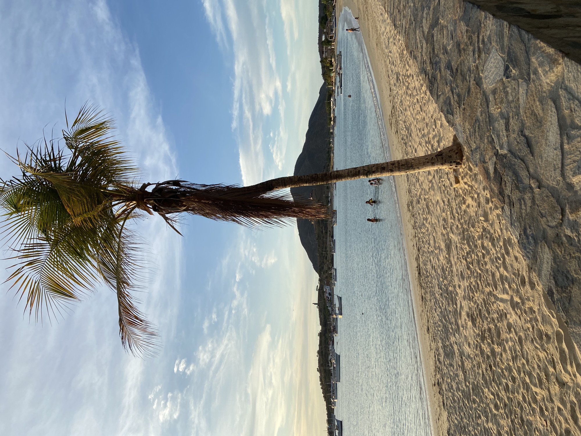 The image shows a beach scene in Juan Griego, Venezuela. A palm tree stands on the left side, its trunk partially obscuring the view of the beach and water. The beach is sandy, with some people visible in the water and along the shore. Several boats are anchored in the bay. A hillside rises in the background. The sky is blue with scattered clouds. A low wall constructed of rock is on the right-hand side of the image.