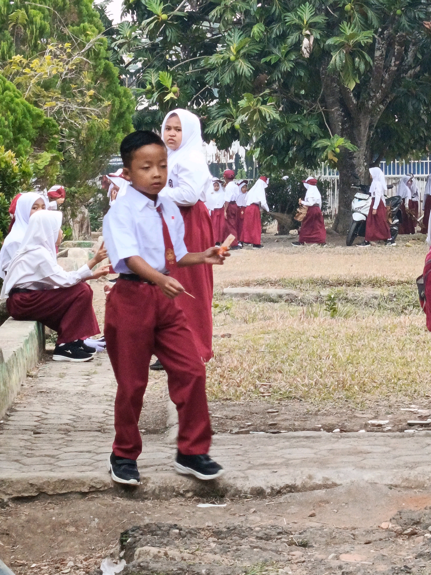 In Megang Sakti II, Indonesia, a group of schoolchildren in uniform are gathered outdoors. The focal point is a young boy in the foreground, wearing a white collared shirt, a red tie, and dark red trousers. He is walking on a stone pathway and holding a thin, light-colored object in his right hand. Behind him, to the left, a young girl in a white hijab and red skirt sits on a low concrete ledge, gesturing with her left hand. Another girl in a similar uniform stands behind her, looking towards the boy. Further in the background, more children in white shirts, red ties, and red skirts are visible, some wearing hijabs. A motorcycle is parked near a tree in the mid-ground. The environment includes dry grass, trees, and a metal fence. The lighting suggests it is daytime.