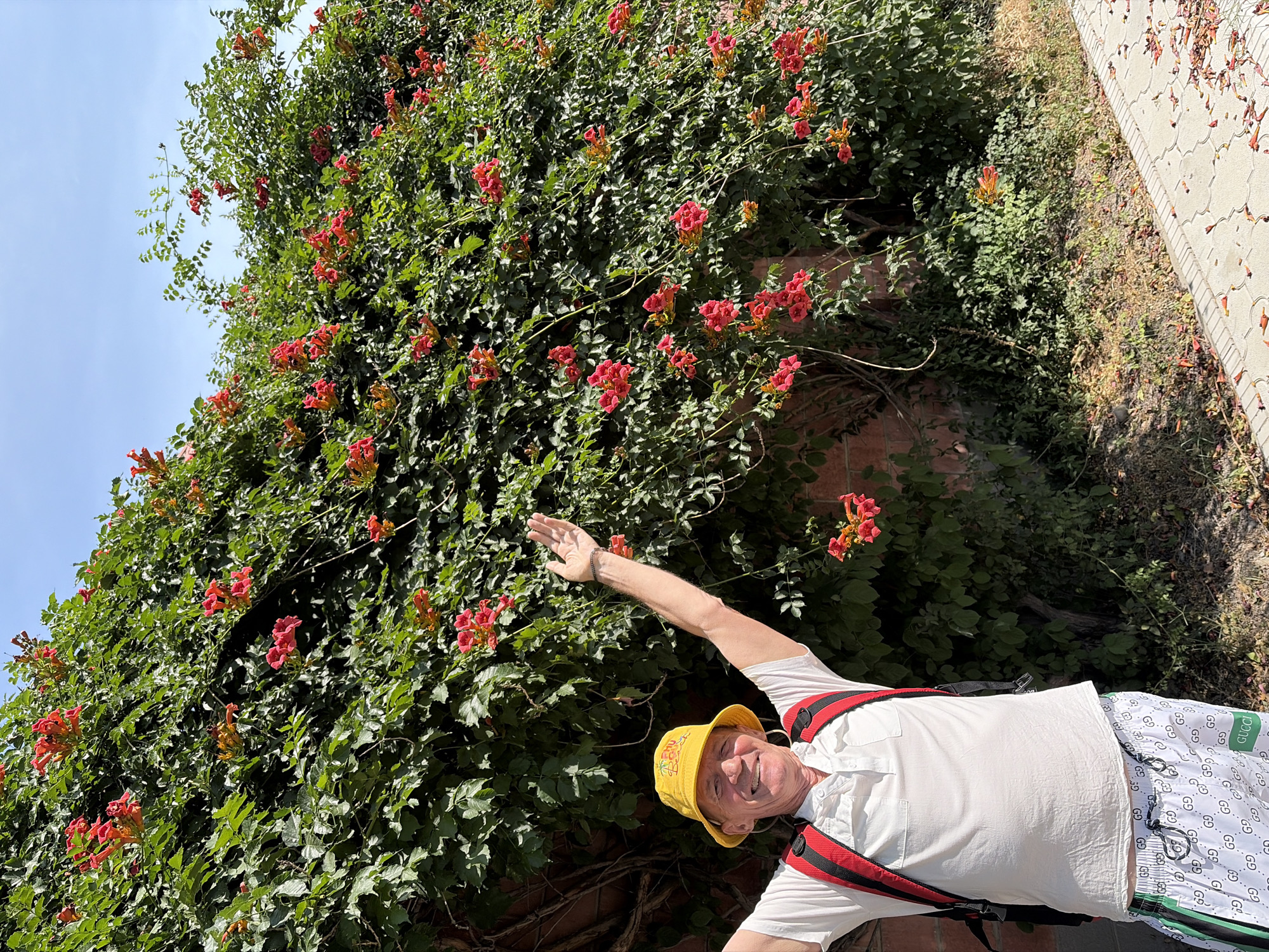 A man stands in front of a wall covered in green foliage and vibrant red-orange flowers, possibly trumpet vines, against a clear blue sky. He is wearing a white polo shirt, a yellow bucket hat, white shorts with a repeating Gucci pattern and green stripes, and a red backpack. His right arm is raised in a gesture of greeting or excitement. The man appears to be middle-aged with fair skin and is smiling. The scene is illuminated by bright sunlight, casting shadows. A paved pathway with fallen leaves is visible in the foreground. The location is identified as Unknown, Unknown.