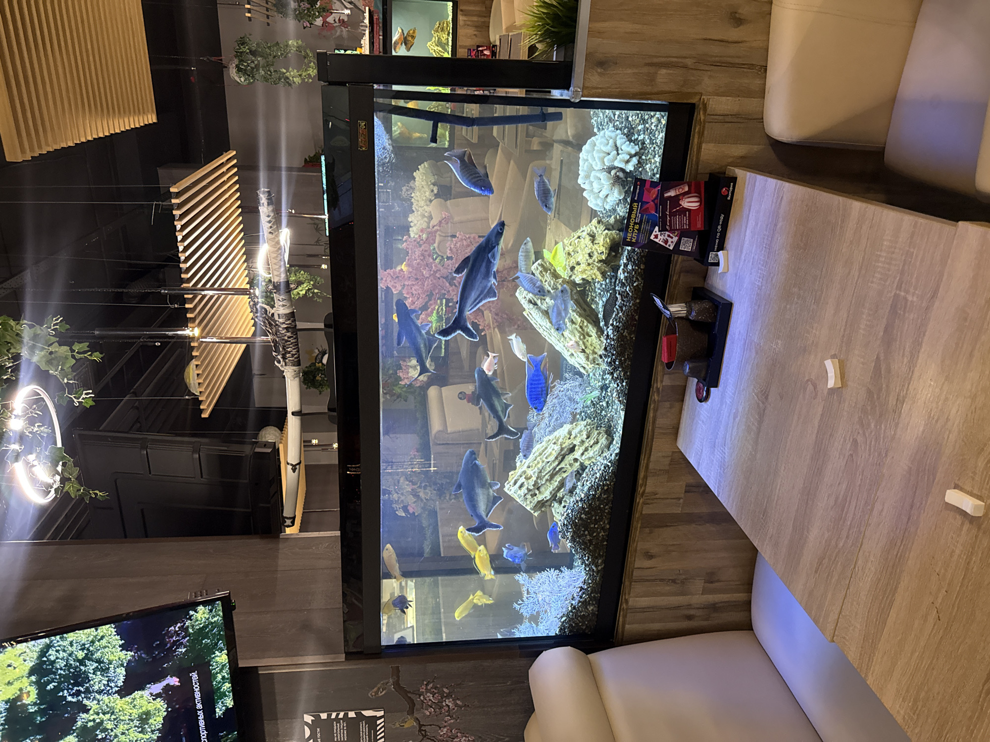 The image depicts the interior of a restaurant or lounge in Domodedovo, Russia. A large aquarium with various fish species is centrally placed. The aquarium stands next to a table and seating arrangement, including two white sofas. The table contains condiments and menus. Architectural lighting features are visible above the seating area, and a television screen is present in the bottom left corner of the image. The environment suggests a modern or stylized aesthetic within the restaurant setting.